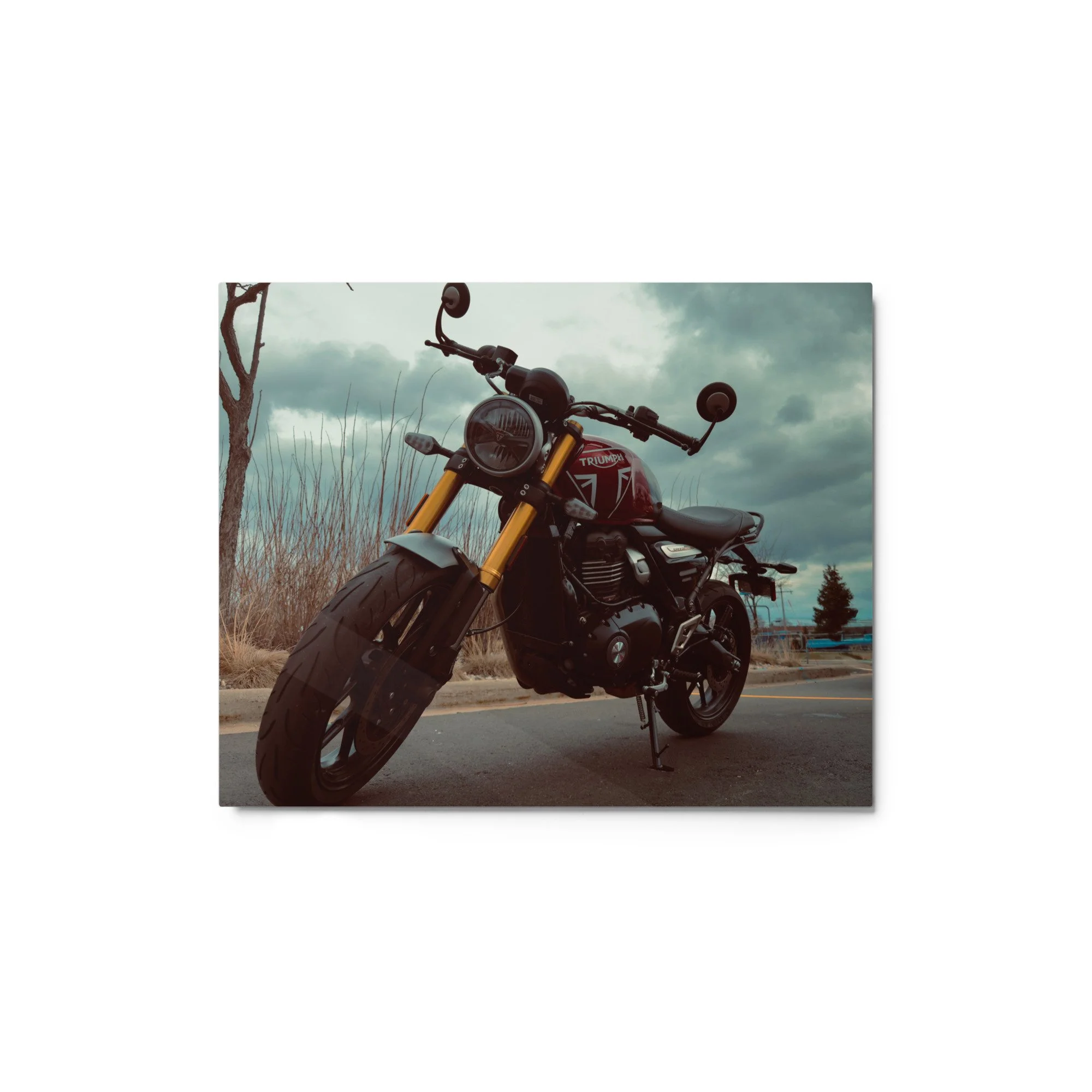 glossy-metal-print-(in)-white-8x10-front-68154f2199420.jpg