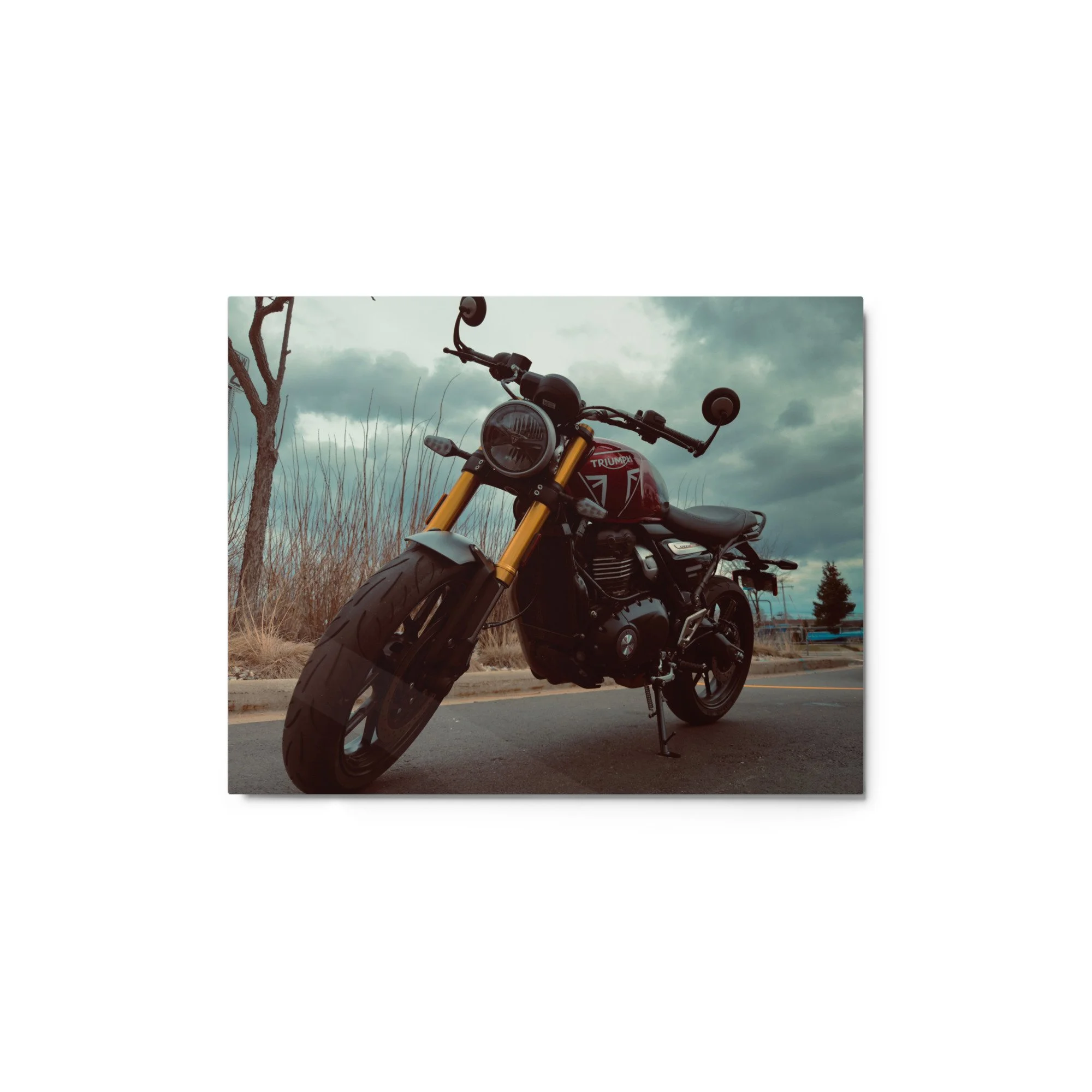 glossy-metal-print-(in)-white-11x14-front-68154f21994b0.jpg