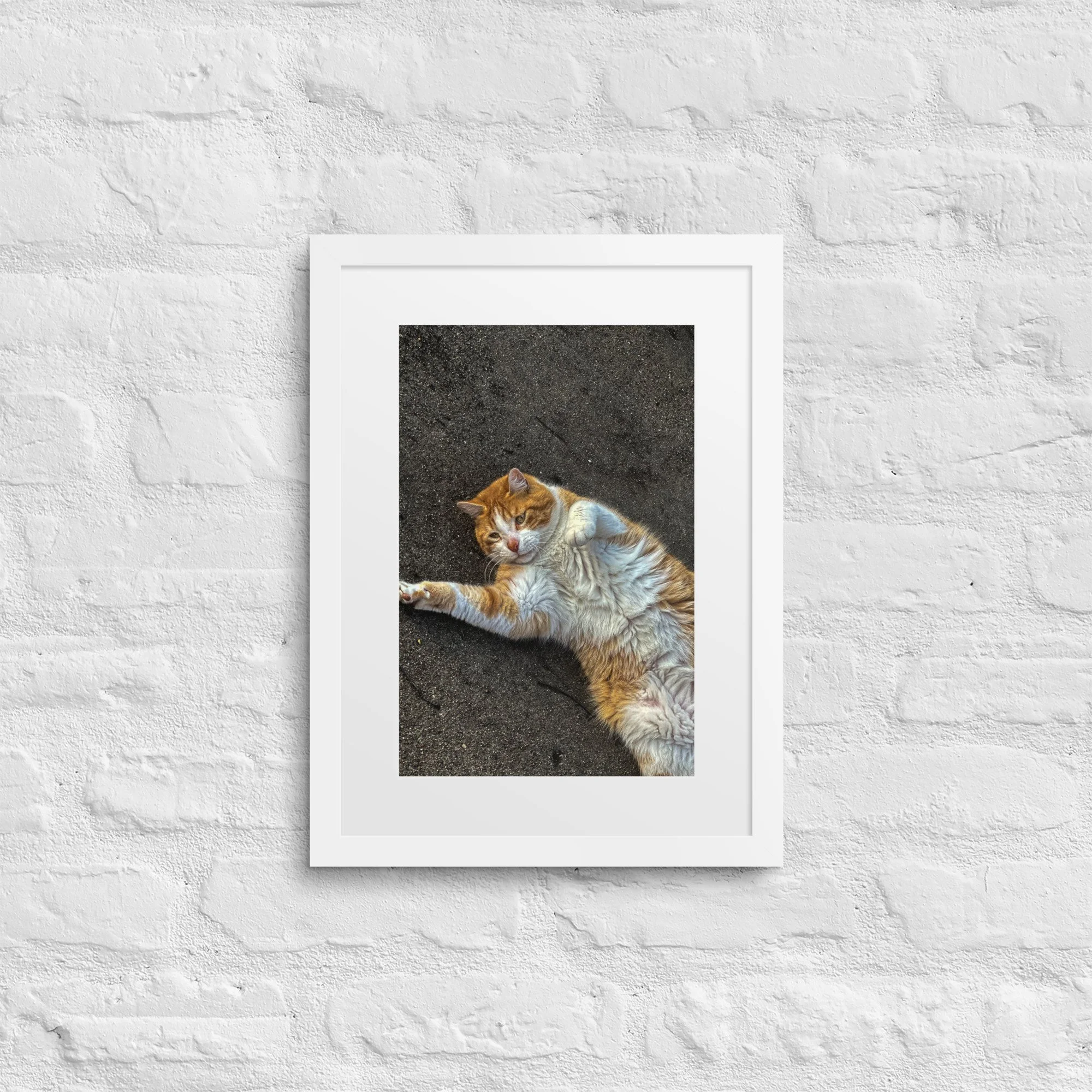 matte-paper-framed-poster-with-mat-(in)-white-12x16-front-6817b313c403b.jpg