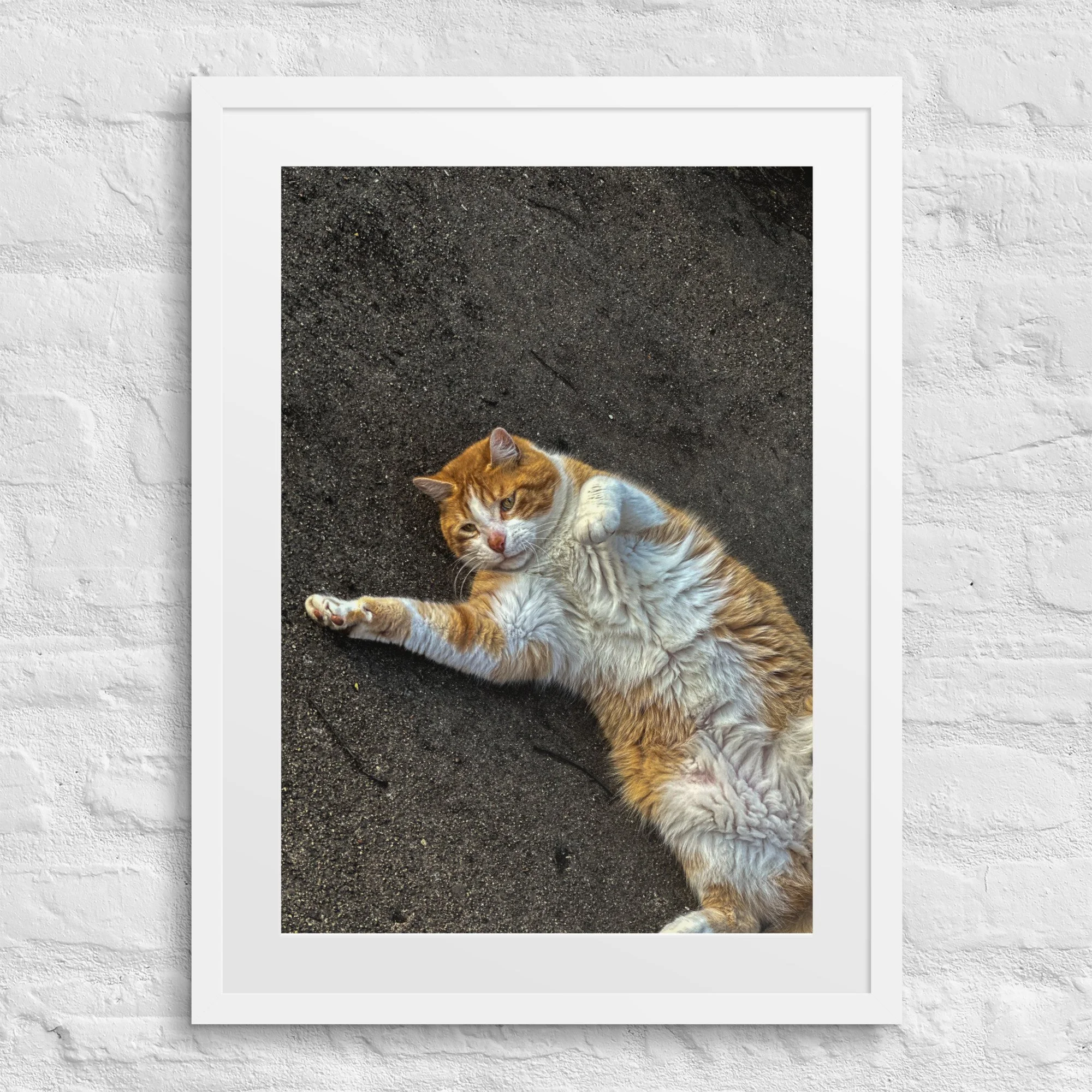 matte-paper-framed-poster-with-mat-(in)-white-18x24-front-6817b313c418d.jpg