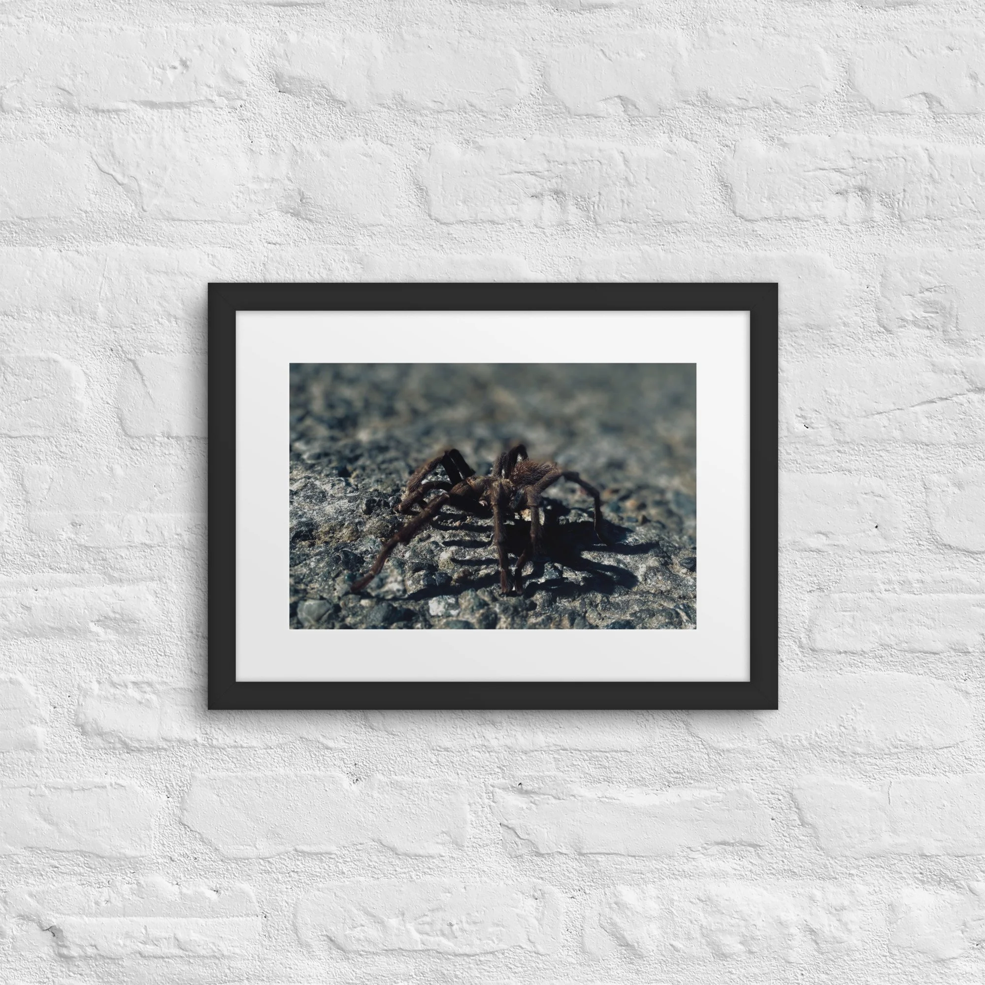 matte-paper-framed-poster-with-mat-(in)-black-12x16-front-6817bcb89dfd6.jpg