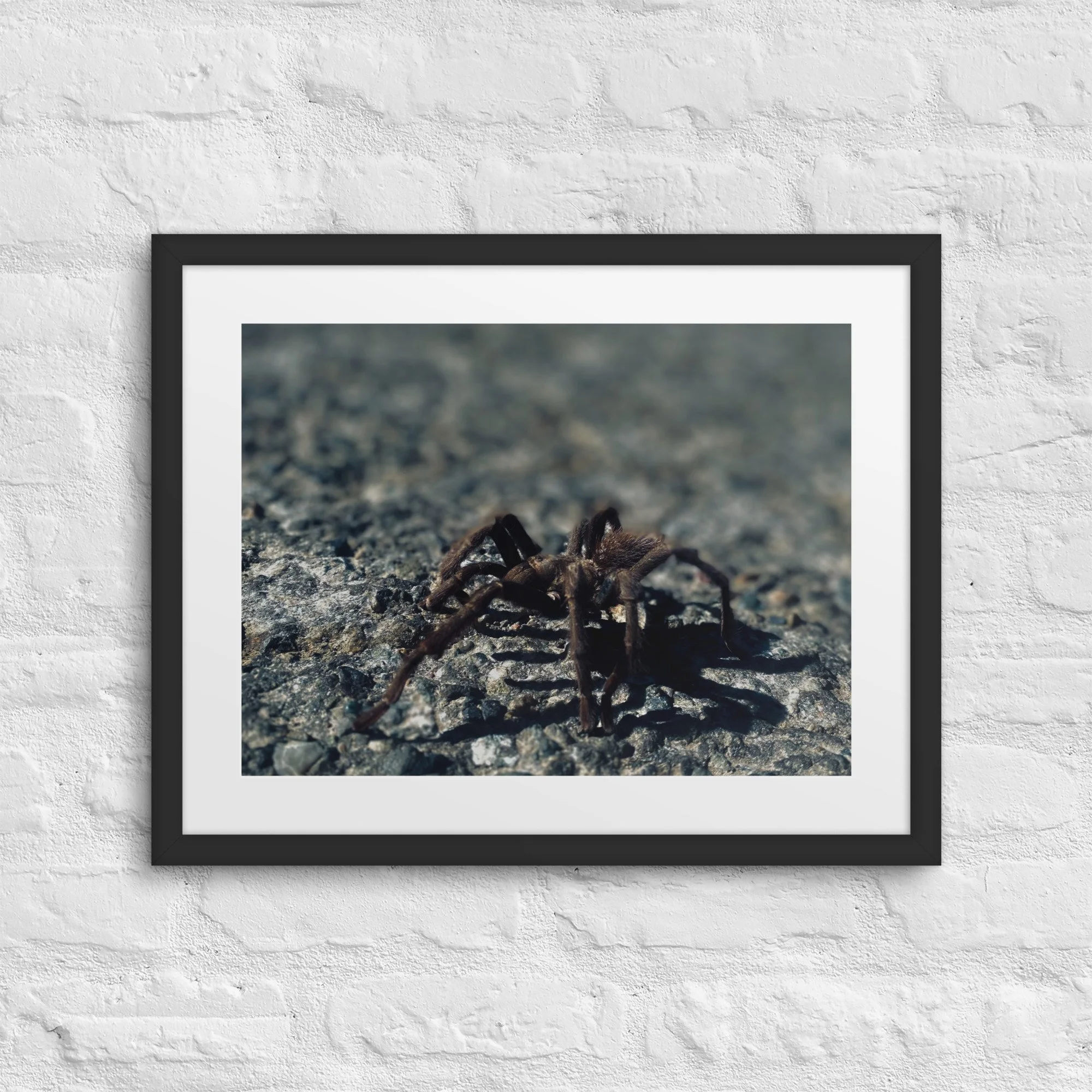 matte-paper-framed-poster-with-mat-(in)-black-16x20-front-6817bcb89e0ed.jpg