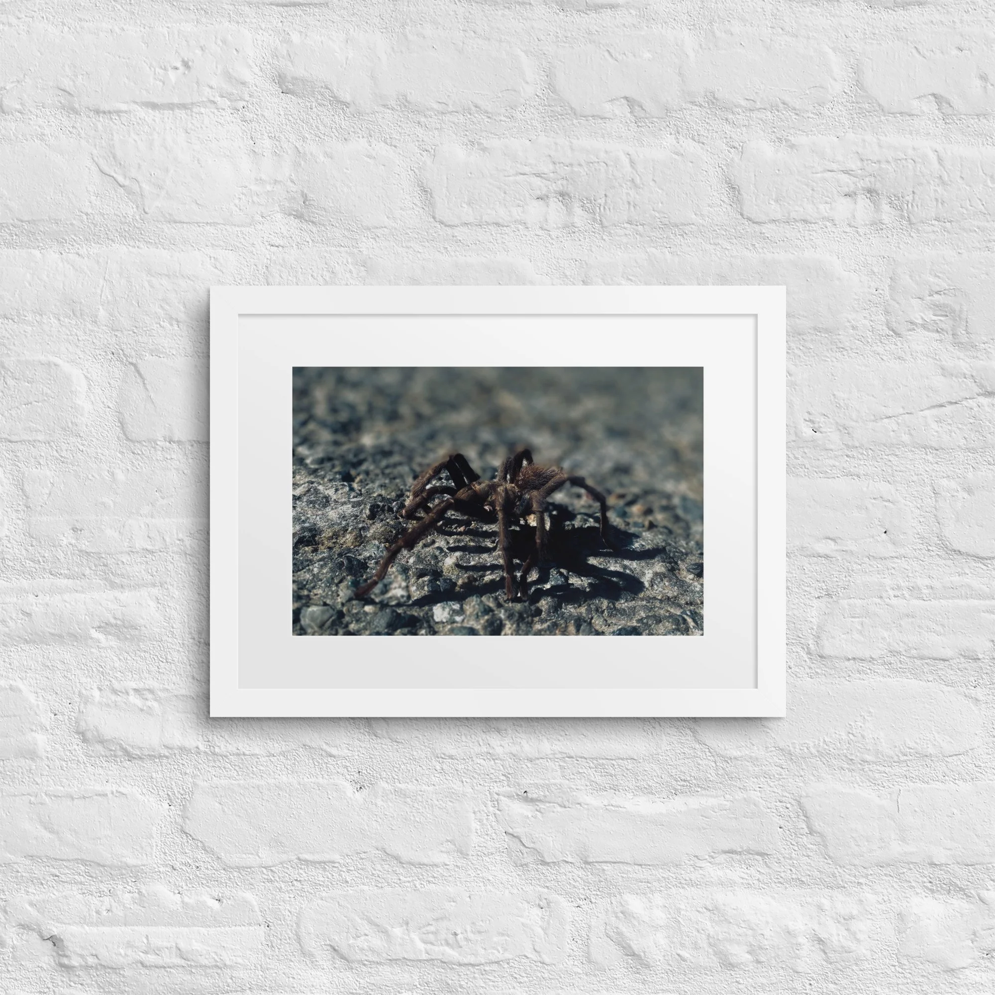 matte-paper-framed-poster-with-mat-(in)-white-12x16-front-6817bcb89e16e.jpg