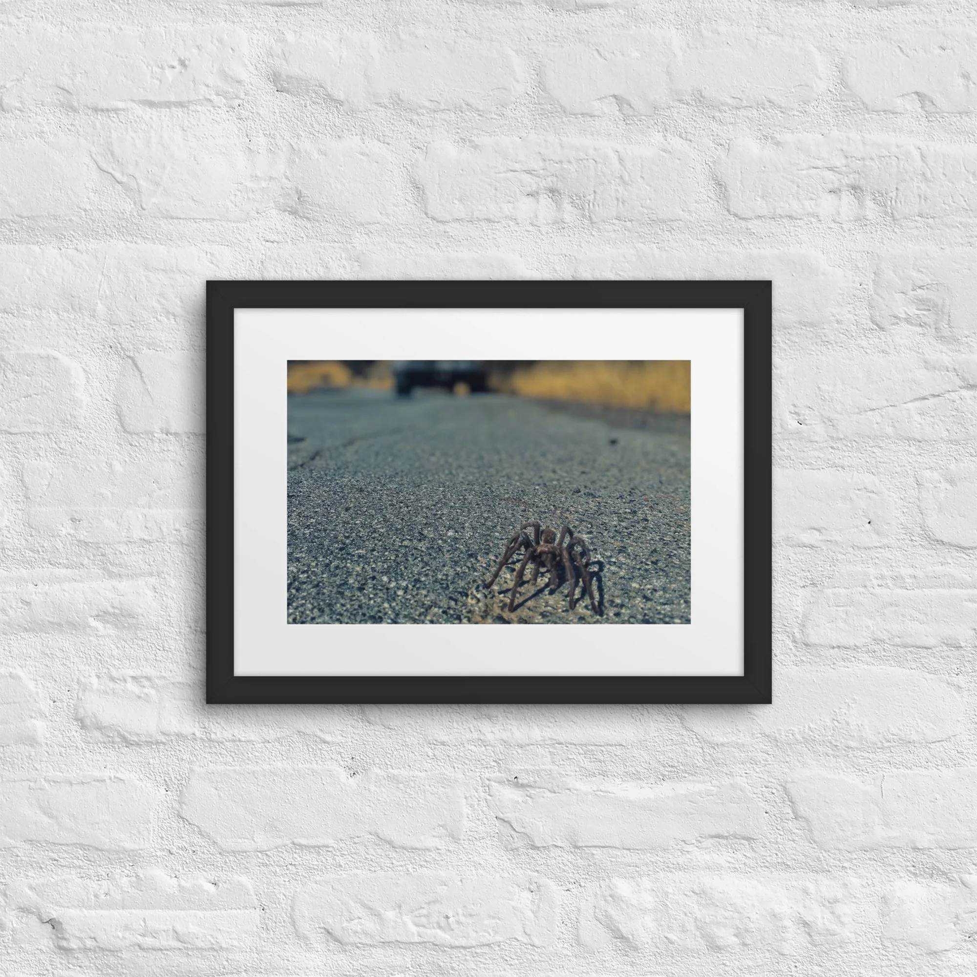 matte-paper-framed-poster-with-mat-(in)-black-12x16-front-6817d097593de.jpg
