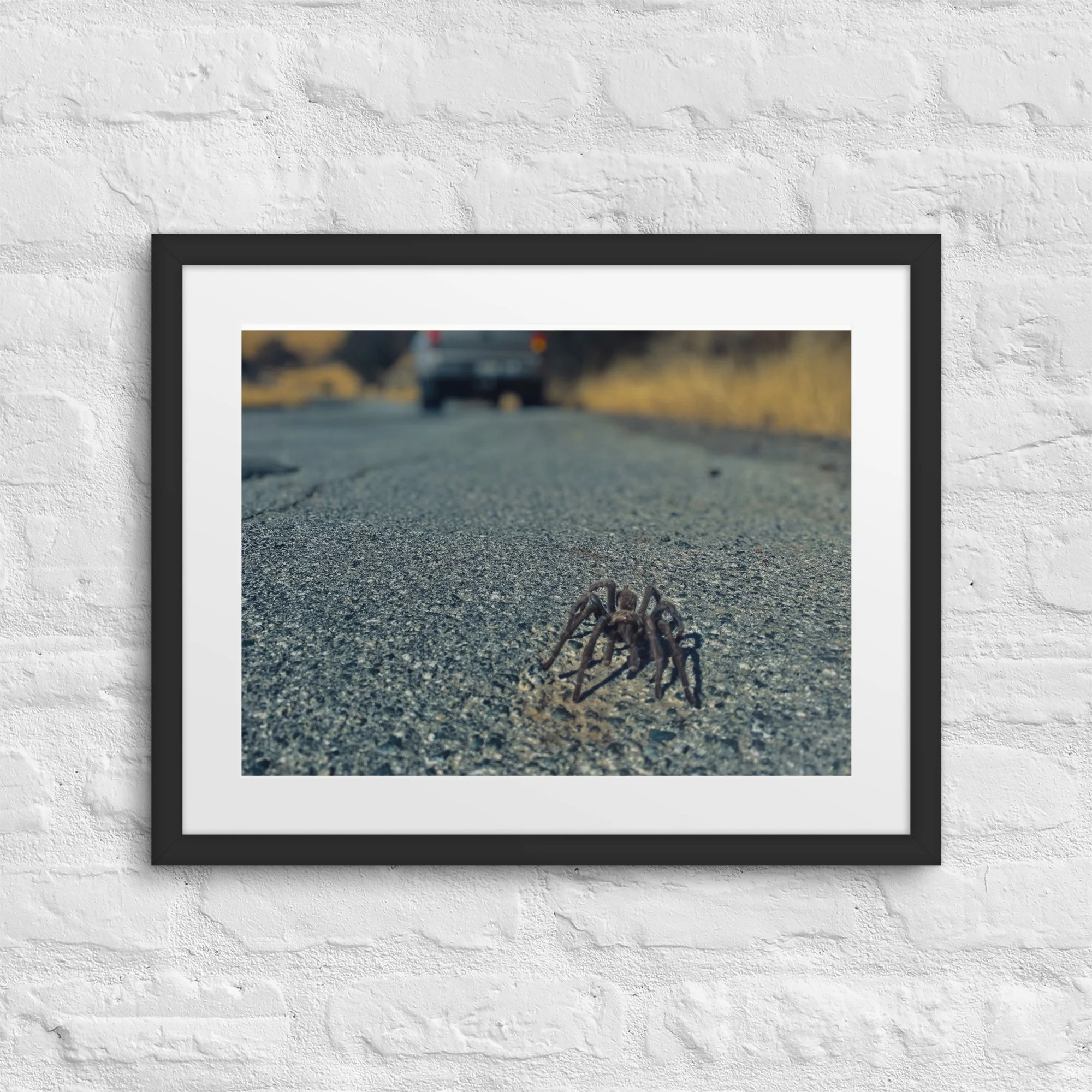 matte-paper-framed-poster-with-mat-(in)-black-16x20-front-6817d0975948c.jpg