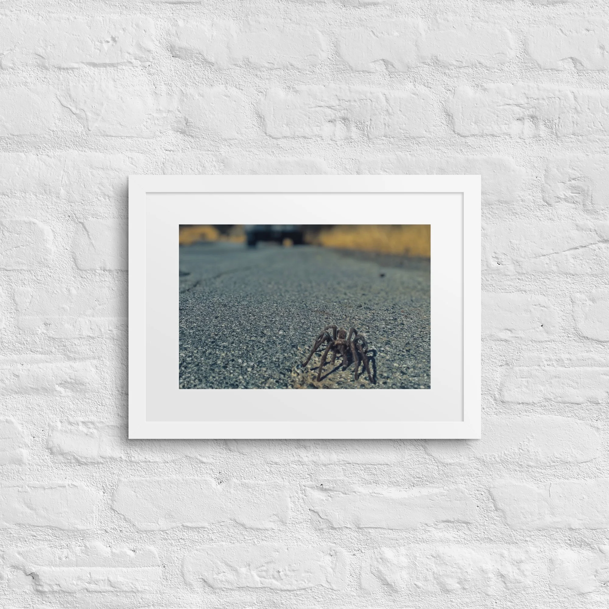 matte-paper-framed-poster-with-mat-(in)-white-12x16-front-6817d097594d5.jpg