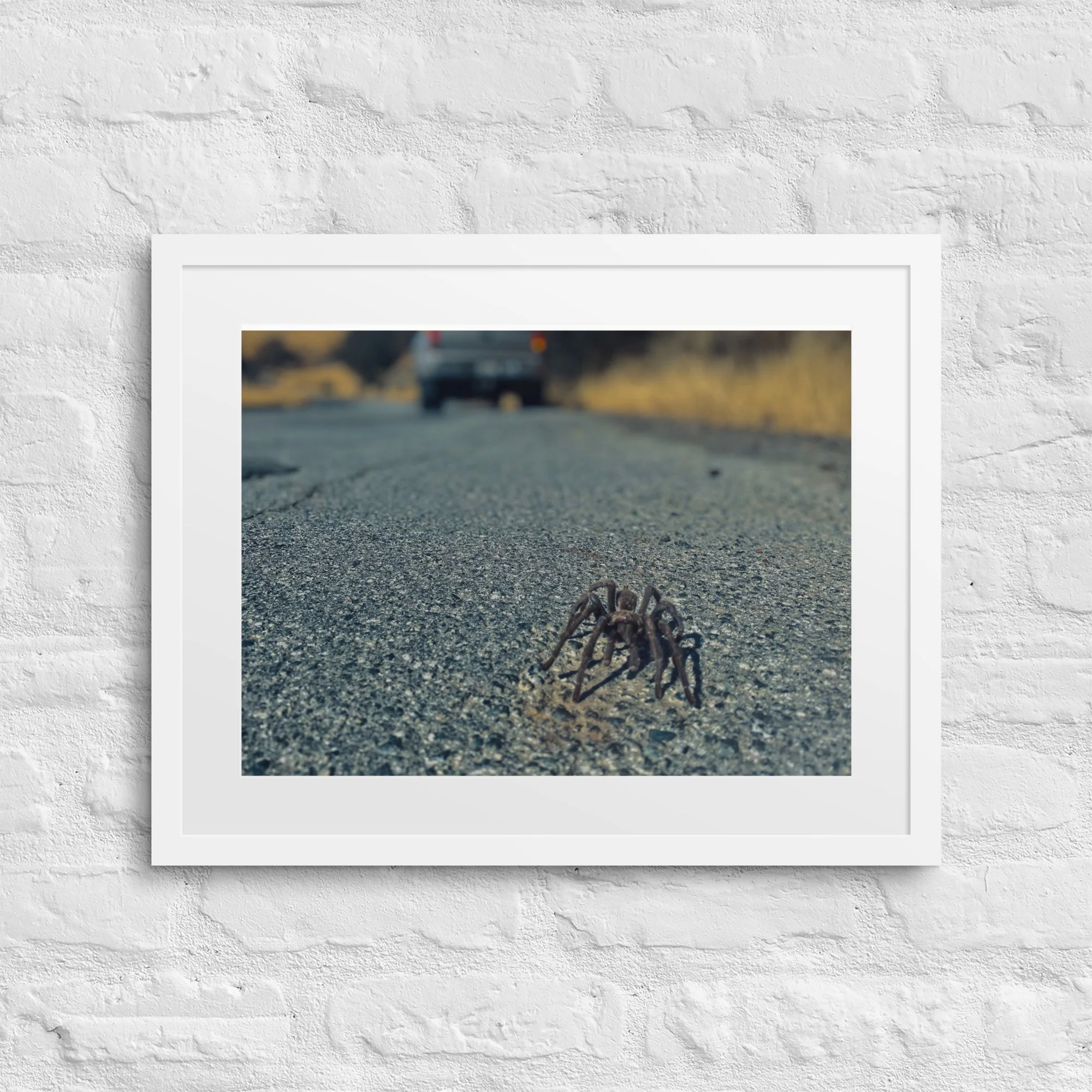 matte-paper-framed-poster-with-mat-(in)-white-16x20-front-6817d09759556.jpg