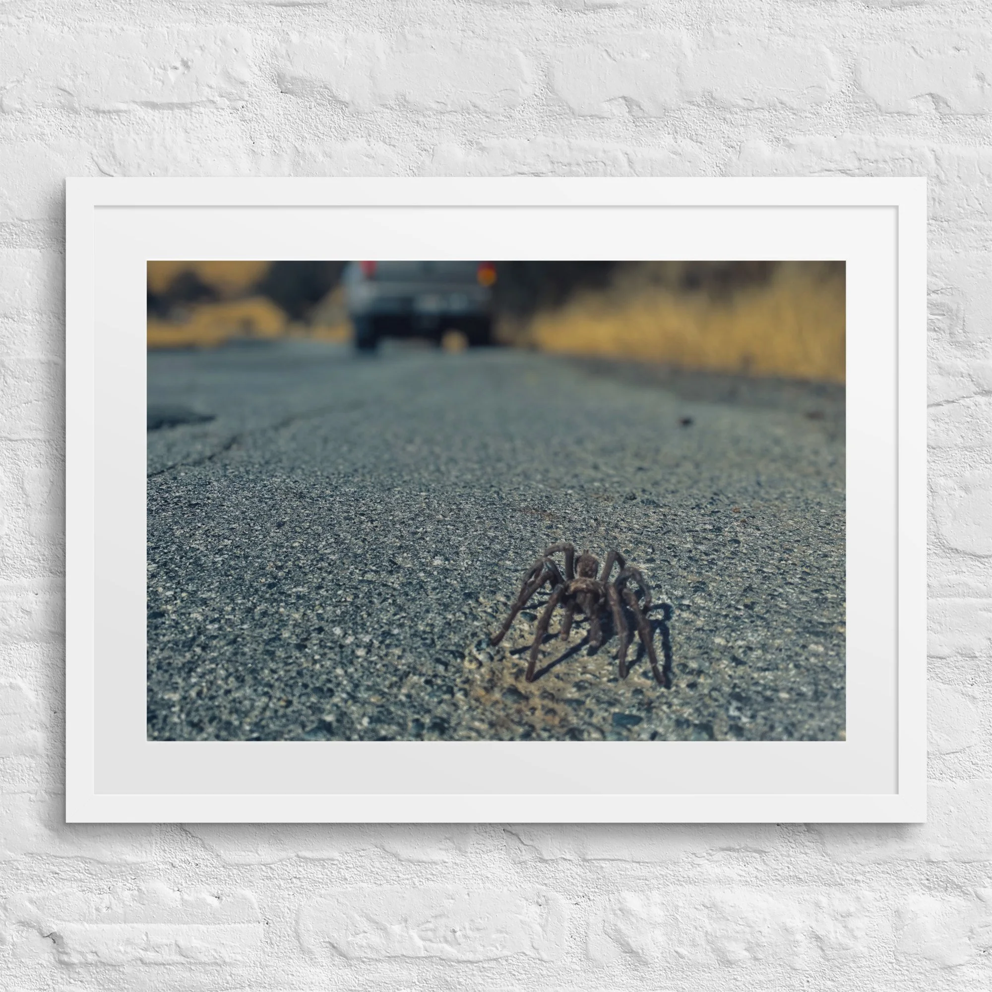 matte-paper-framed-poster-with-mat-(in)-white-18x24-front-6817d09759596.jpg