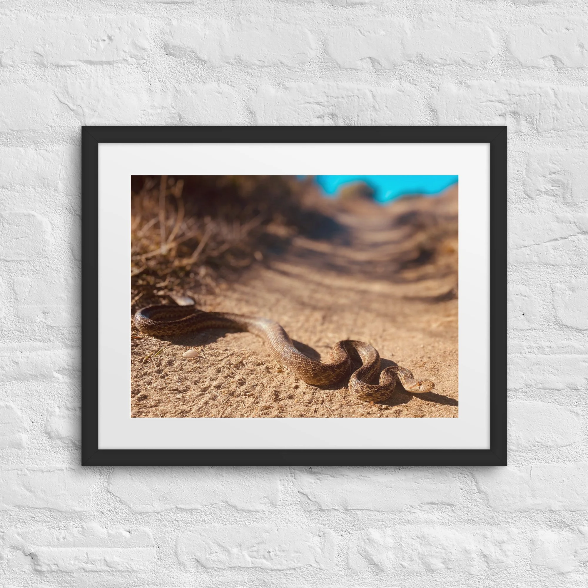 matte-paper-framed-poster-with-mat-(in)-black-16x20-front-6817d11adb8a4.jpg