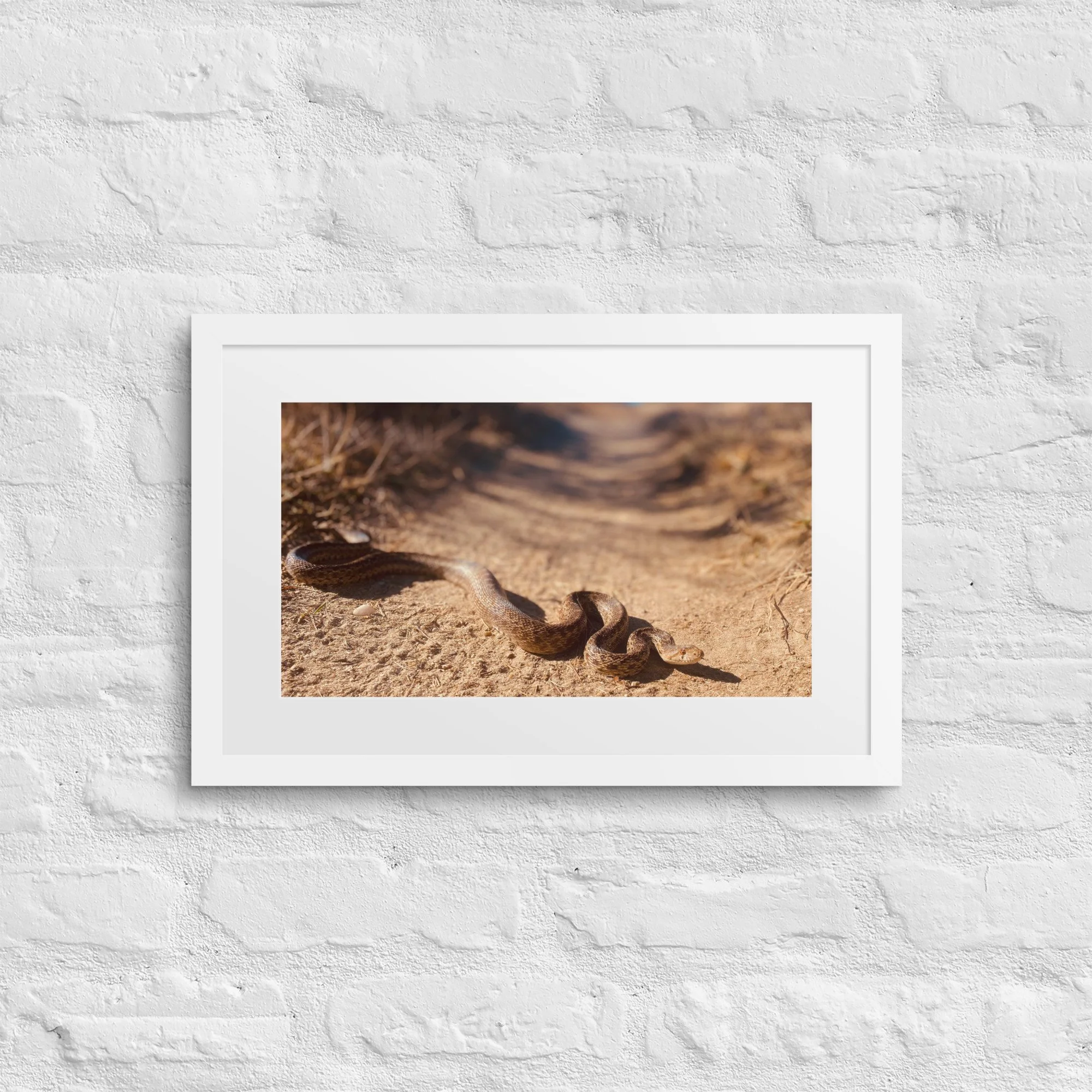 matte-paper-framed-poster-with-mat-(in)-white-12x18-front-6817d11adb998.jpg