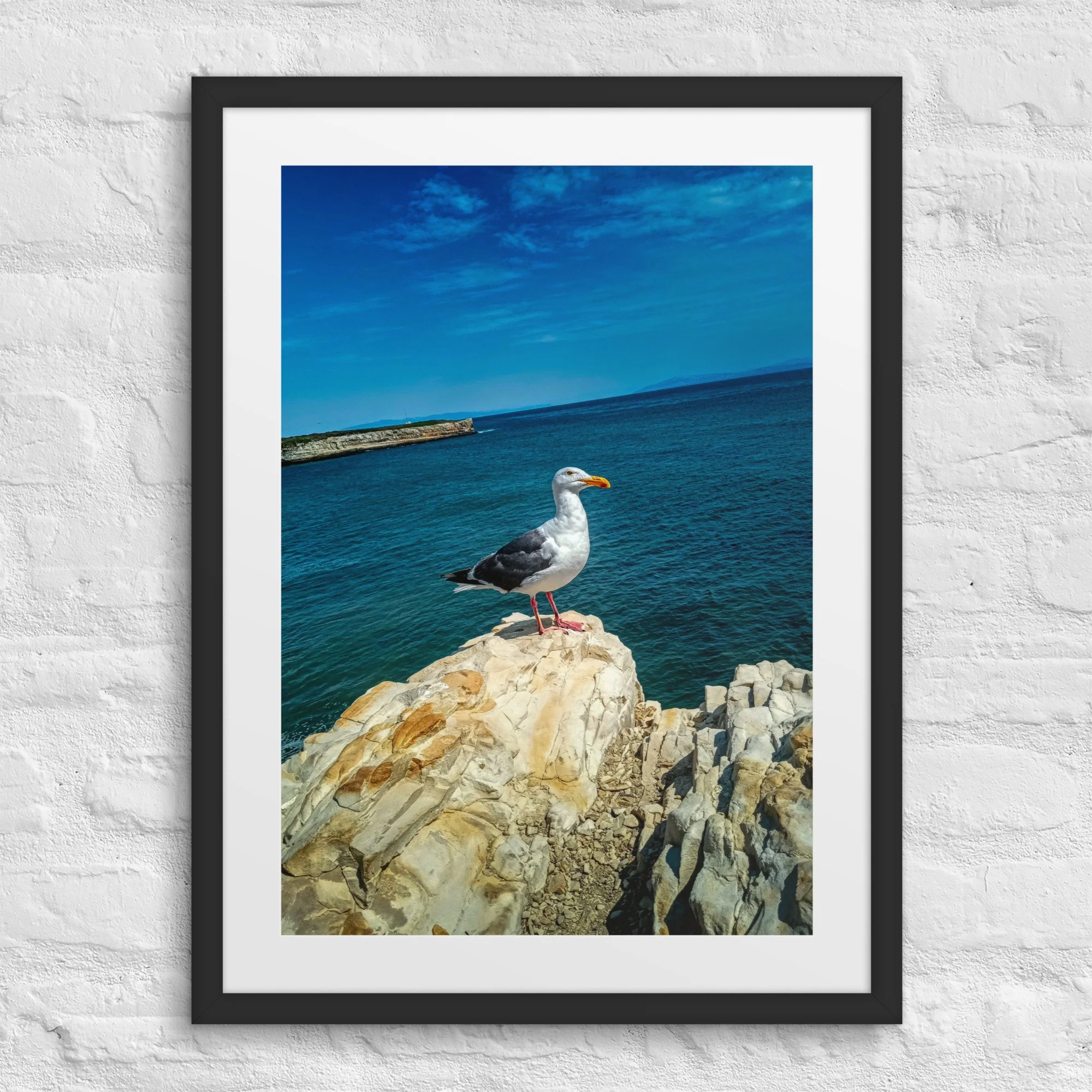 matte-paper-framed-poster-with-mat-(in)-black-18x24-front-681ab9fb17c77.jpg