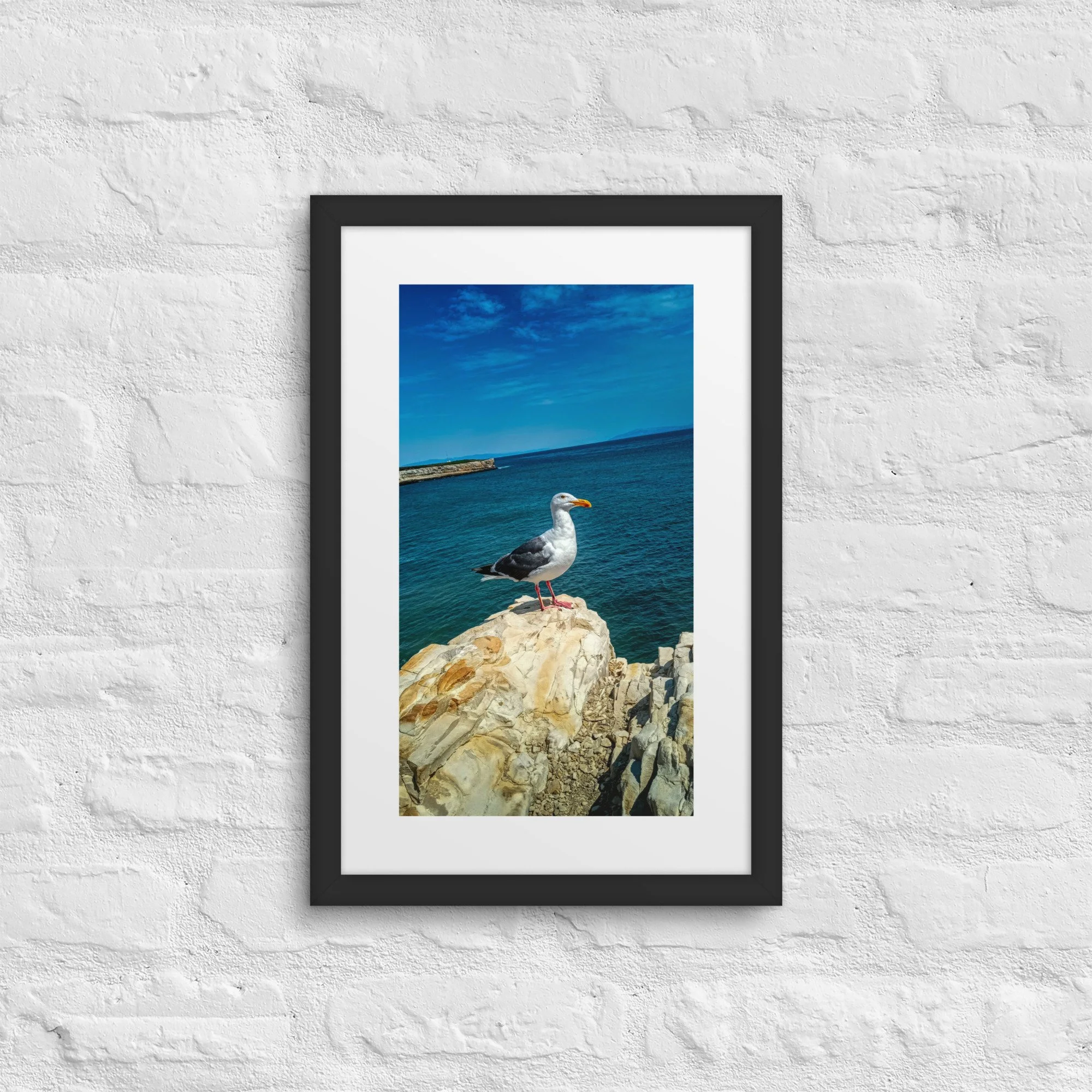matte-paper-framed-poster-with-mat-(in)-black-12x18-front-681ab9fb18260.jpg