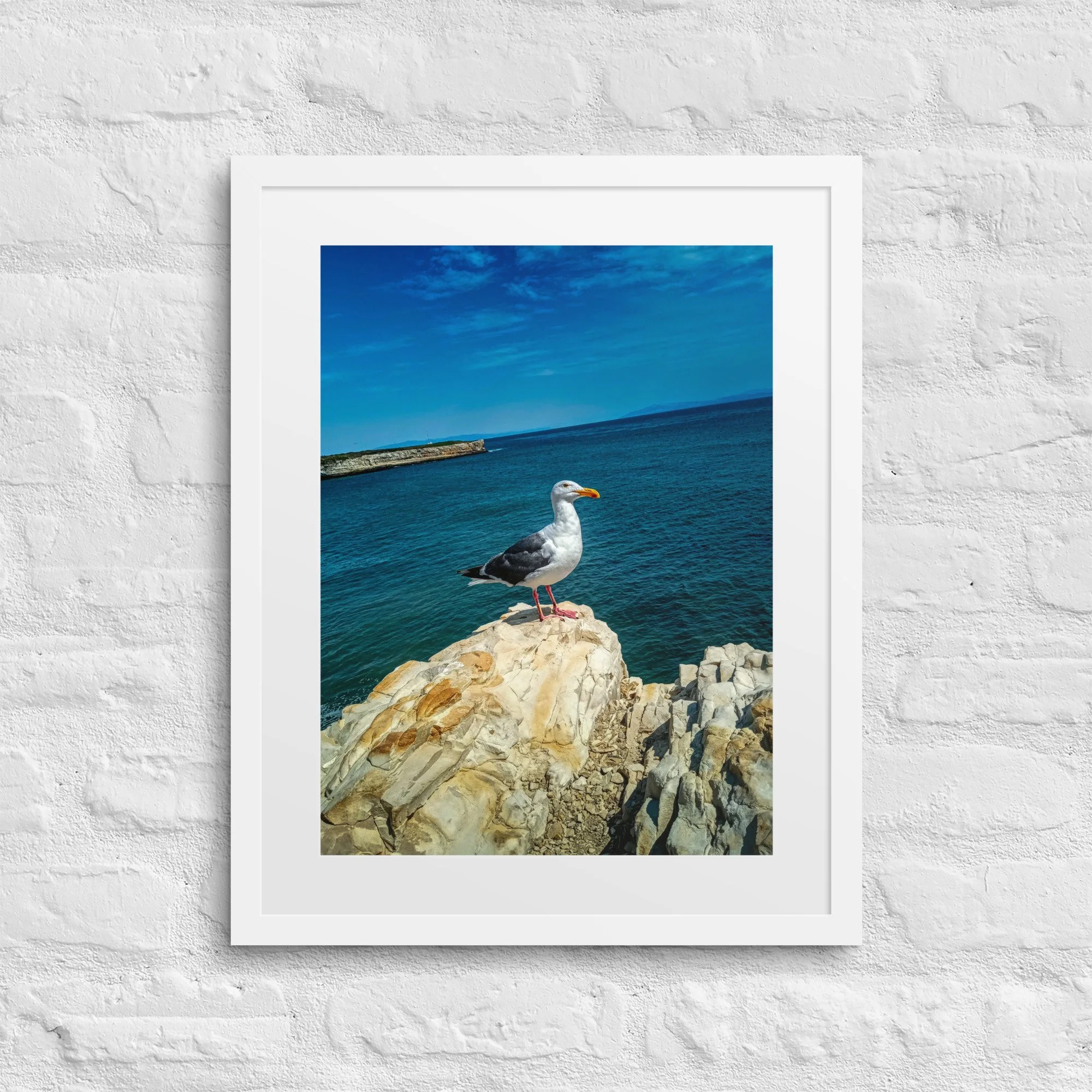 matte-paper-framed-poster-with-mat-(in)-white-16x20-front-681ab9fb18373.jpg
