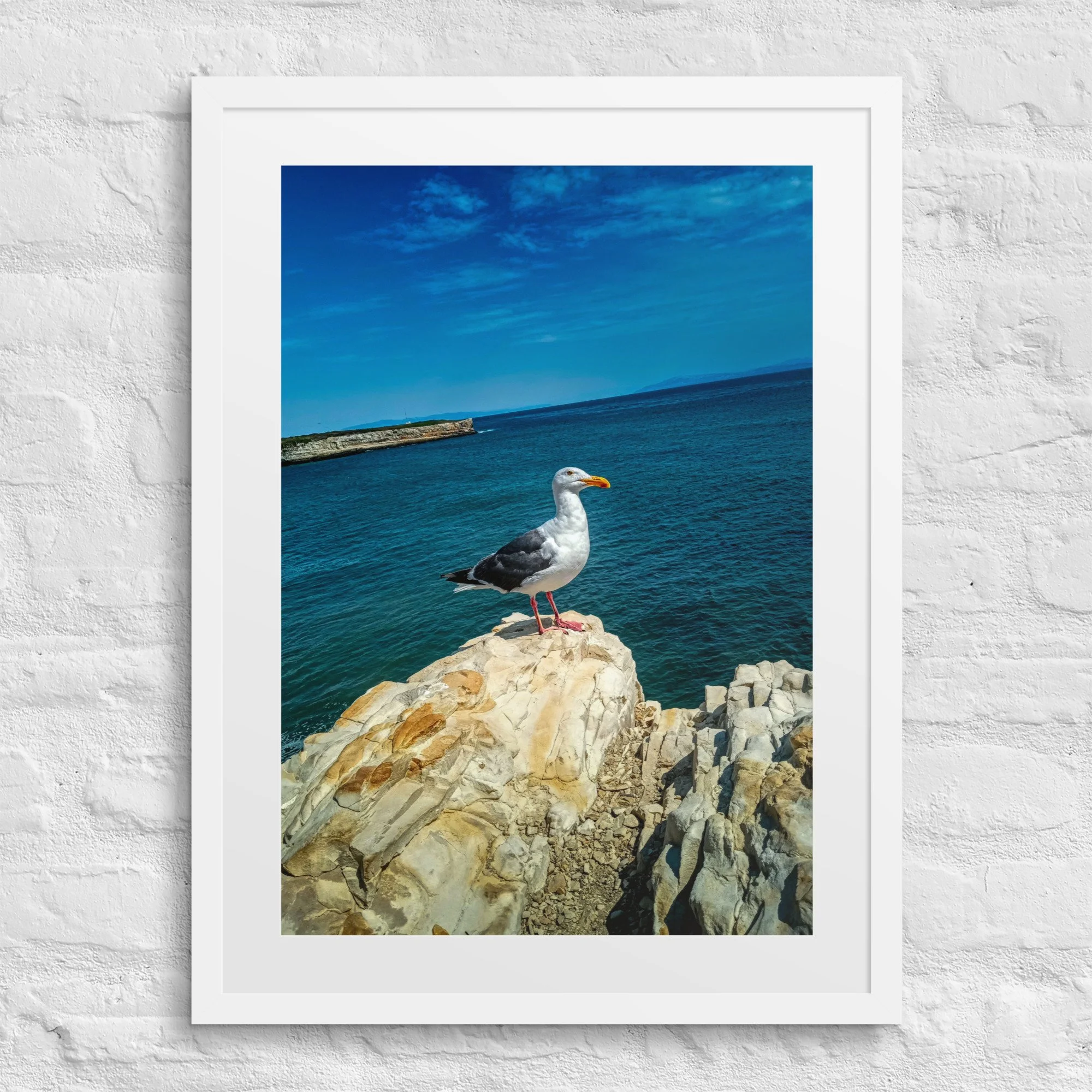 matte-paper-framed-poster-with-mat-(in)-white-18x24-front-681ab9fb183bc.jpg