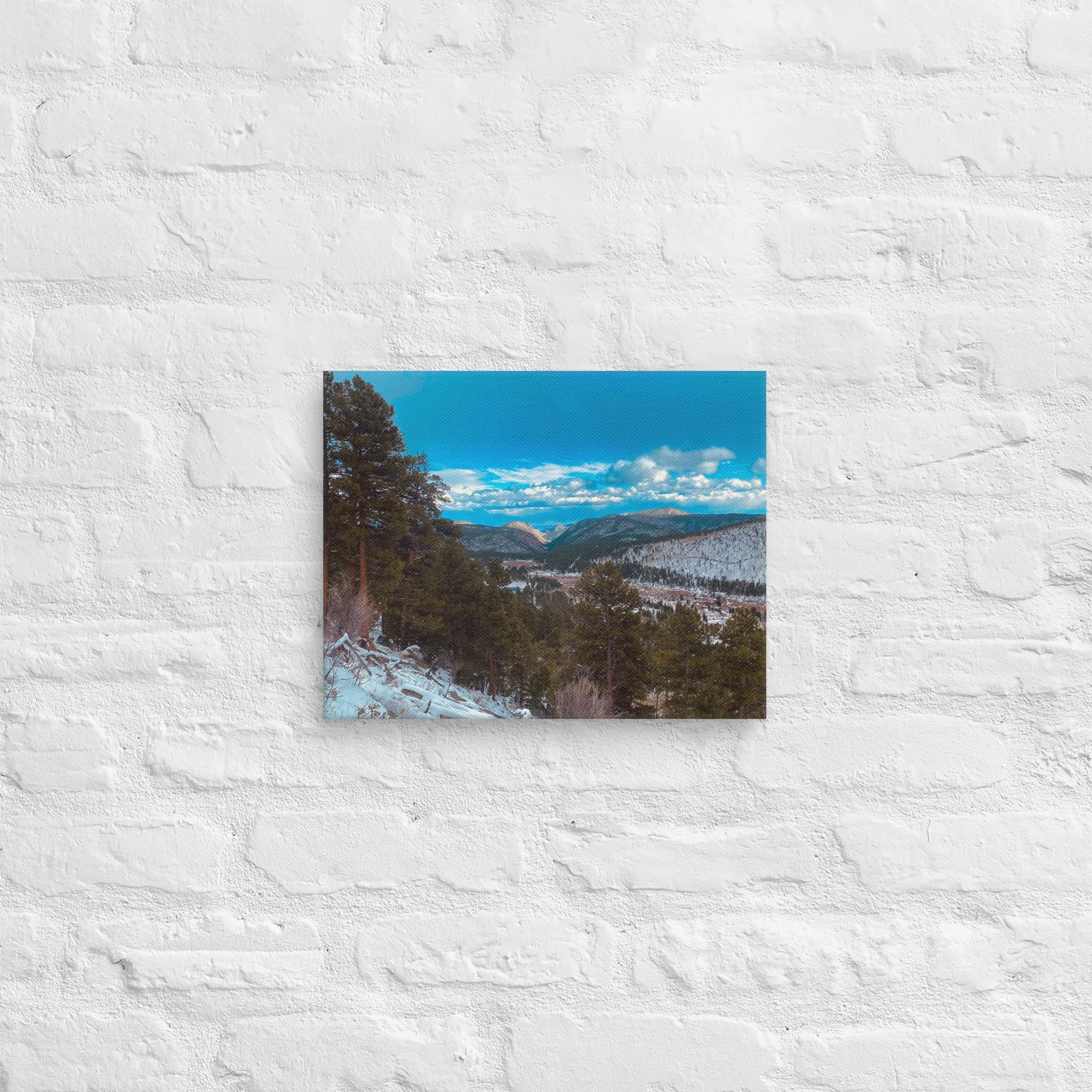 canvas-(in)-11x14-front-681d22c1544b4.jpg