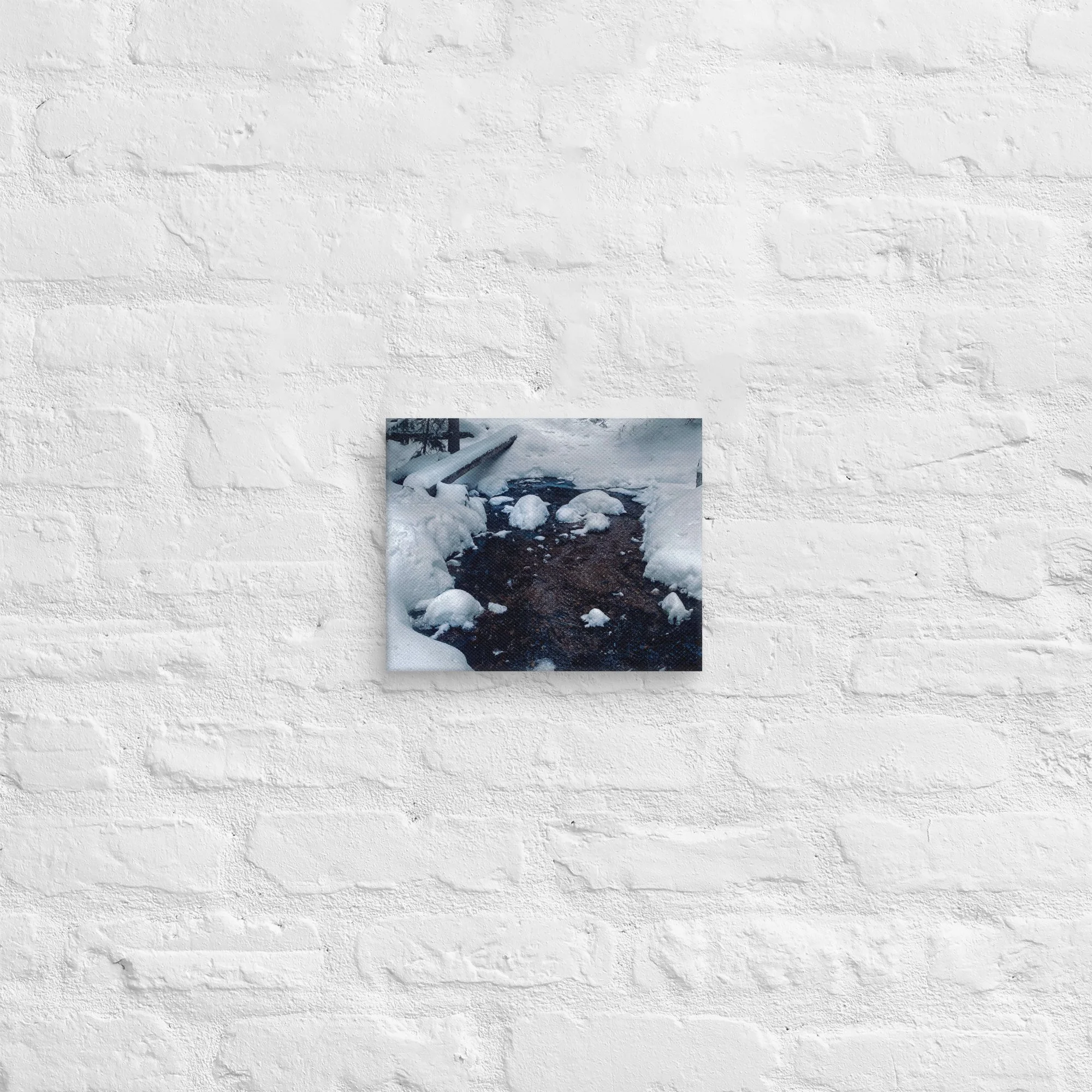 canvas-(in)-8x10-front-681d282cb5817.jpg