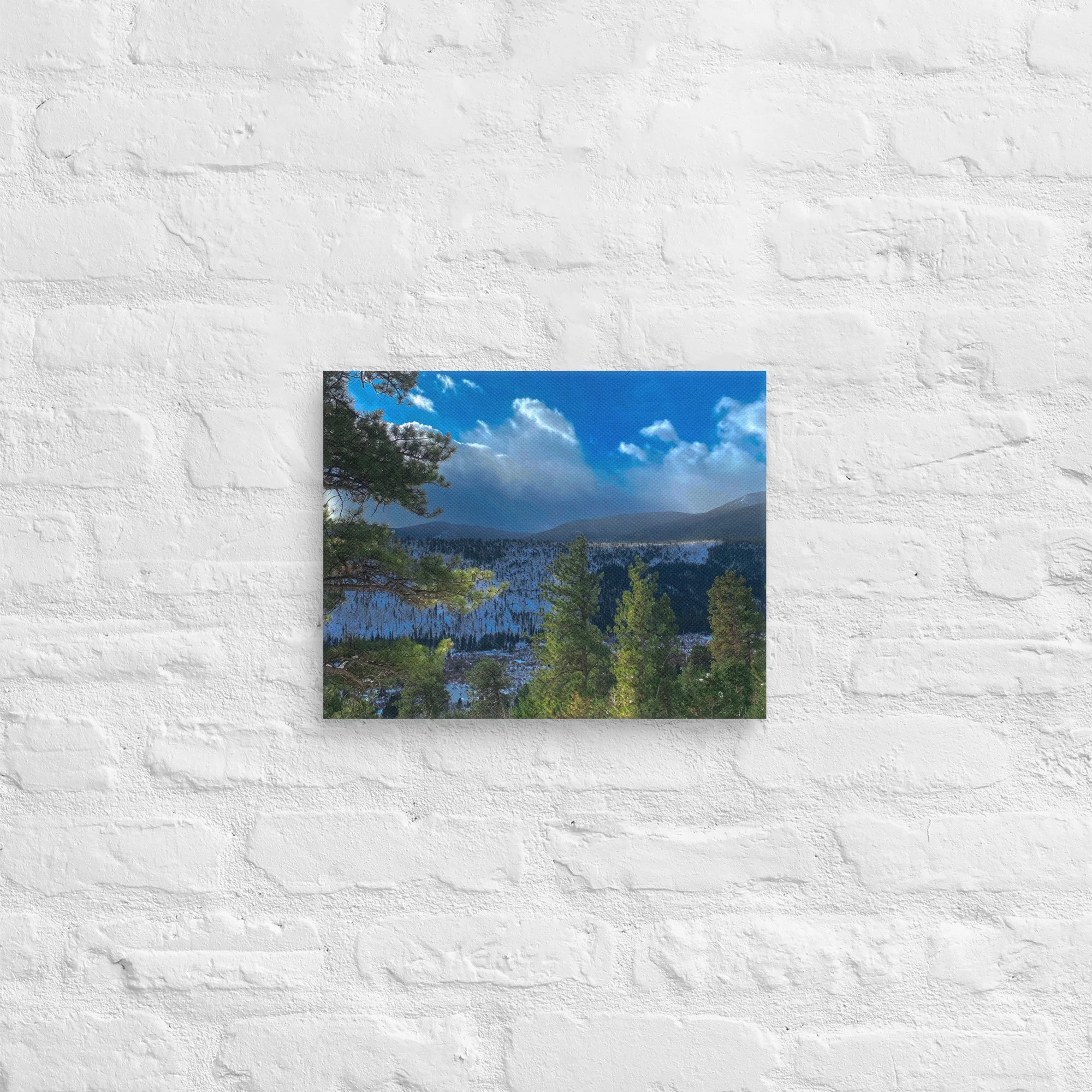 canvas-(in)-11x14-front-681d2ef73803e.jpg