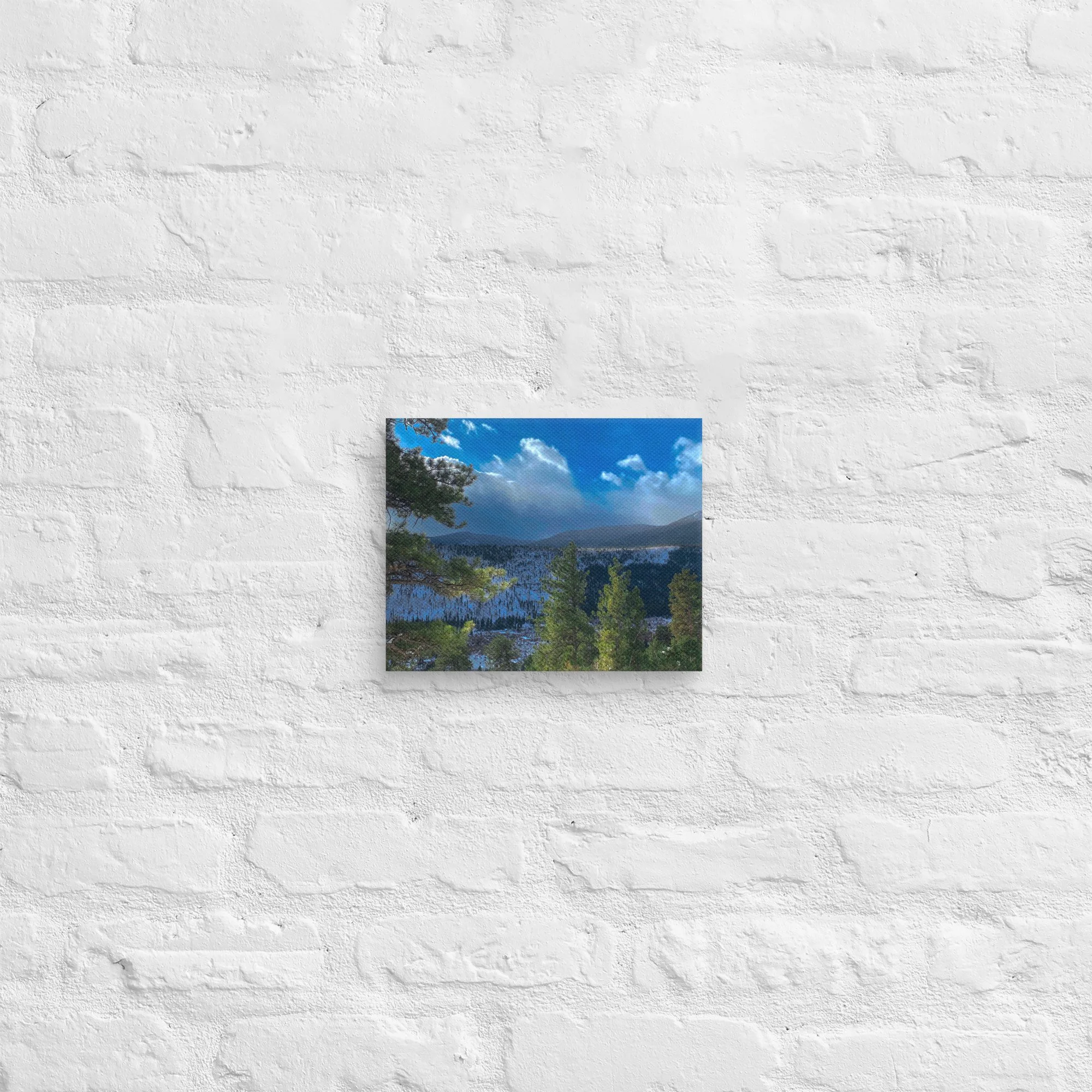 canvas-(in)-8x10-front-681d2ef7380d4.jpg