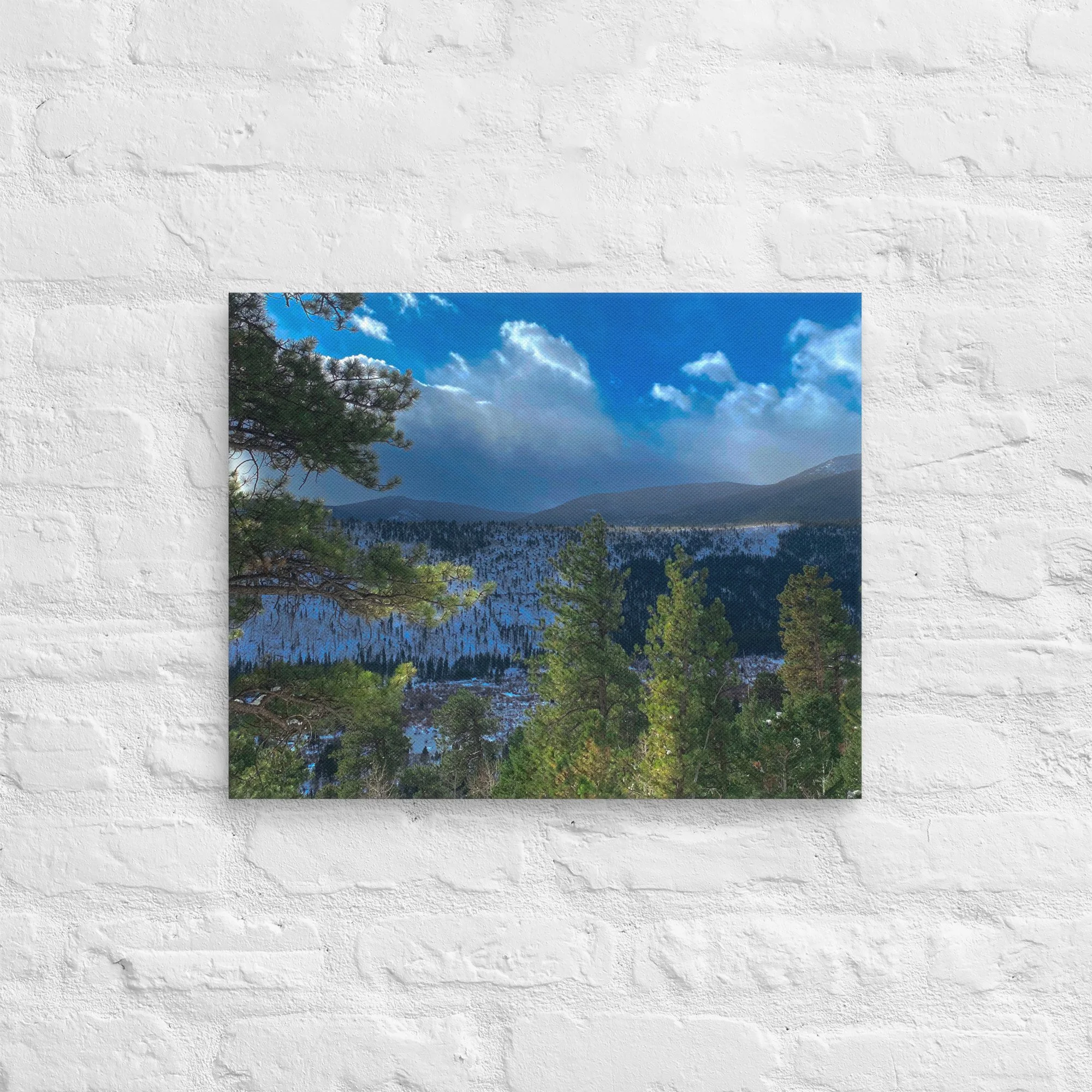 canvas-(in)-16x20-front-681d2ef7381eb.jpg