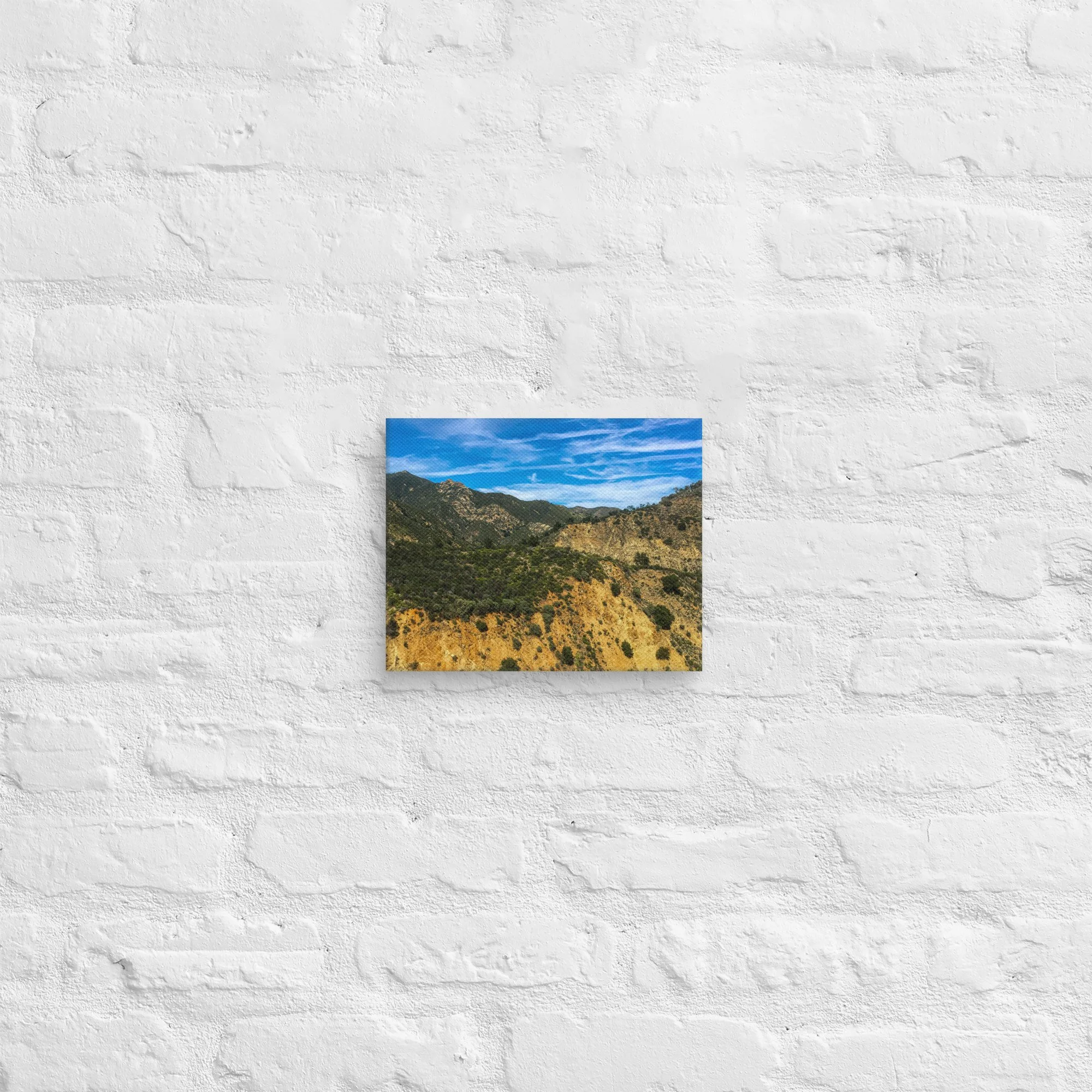 canvas-(in)-8x10-front-681d31d2b2629.jpg