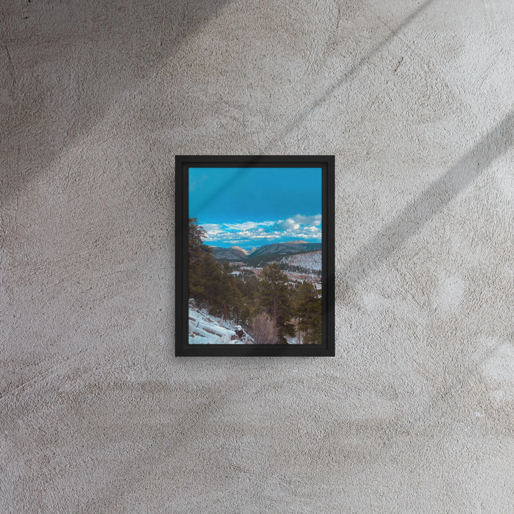framed-canvas-(in)-black-9x12-front-681d3c7b01e7f.jpg