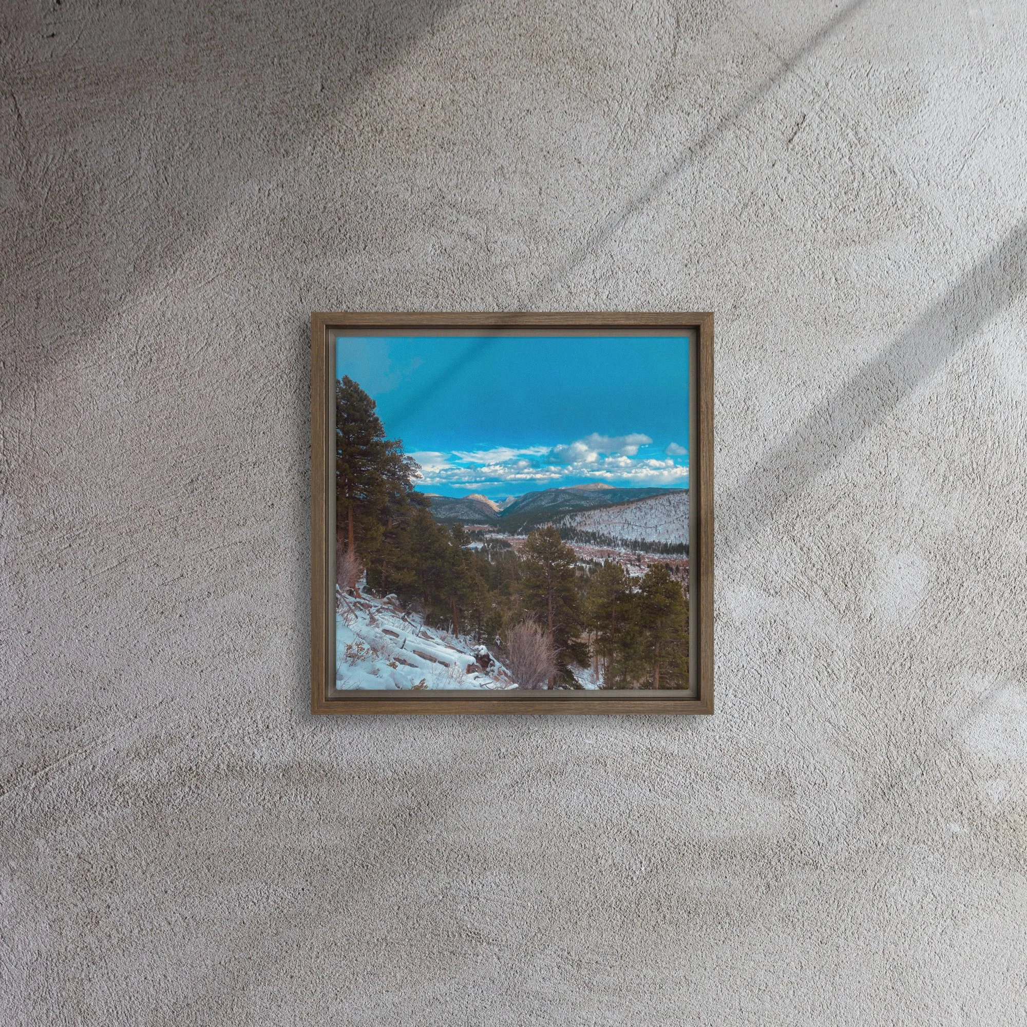 framed-canvas-(in)-brown-12x12-front-681d3c7b02045.jpg