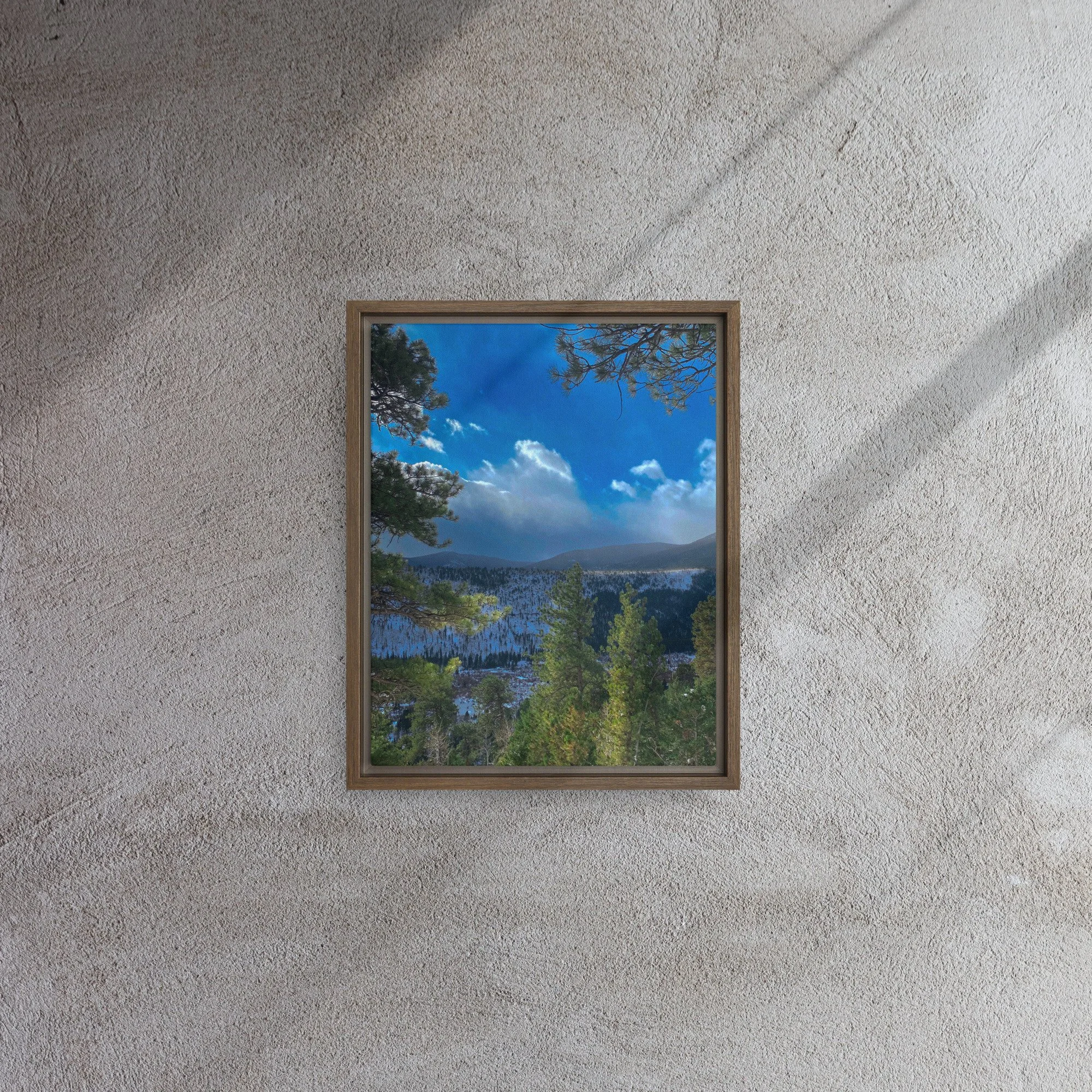 framed-canvas-(in)-brown-11x14-front-681d47a24901c.jpg