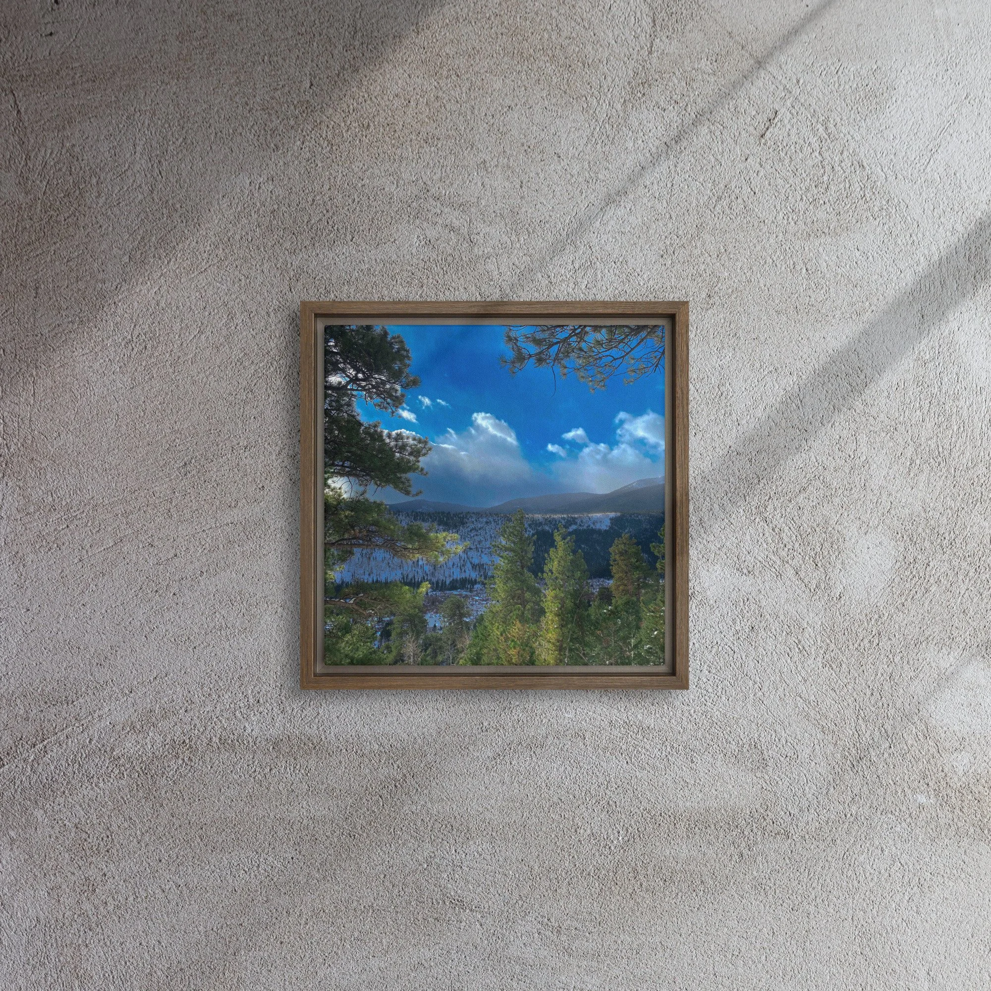 framed-canvas-(in)-brown-12x12-front-681d47a24906c.jpg