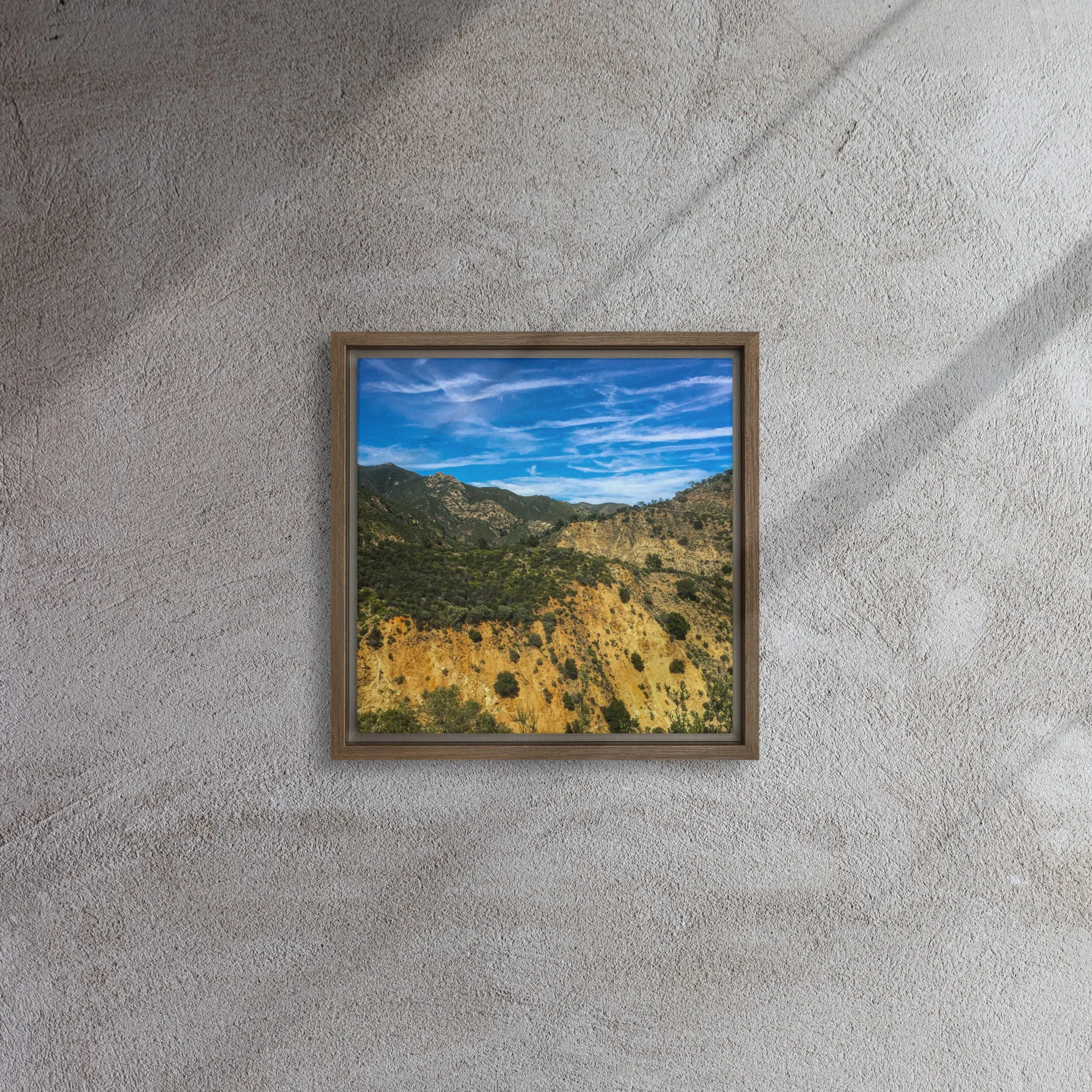 framed-canvas-(in)-brown-12x12-front-681d4a57c3e5e.jpg