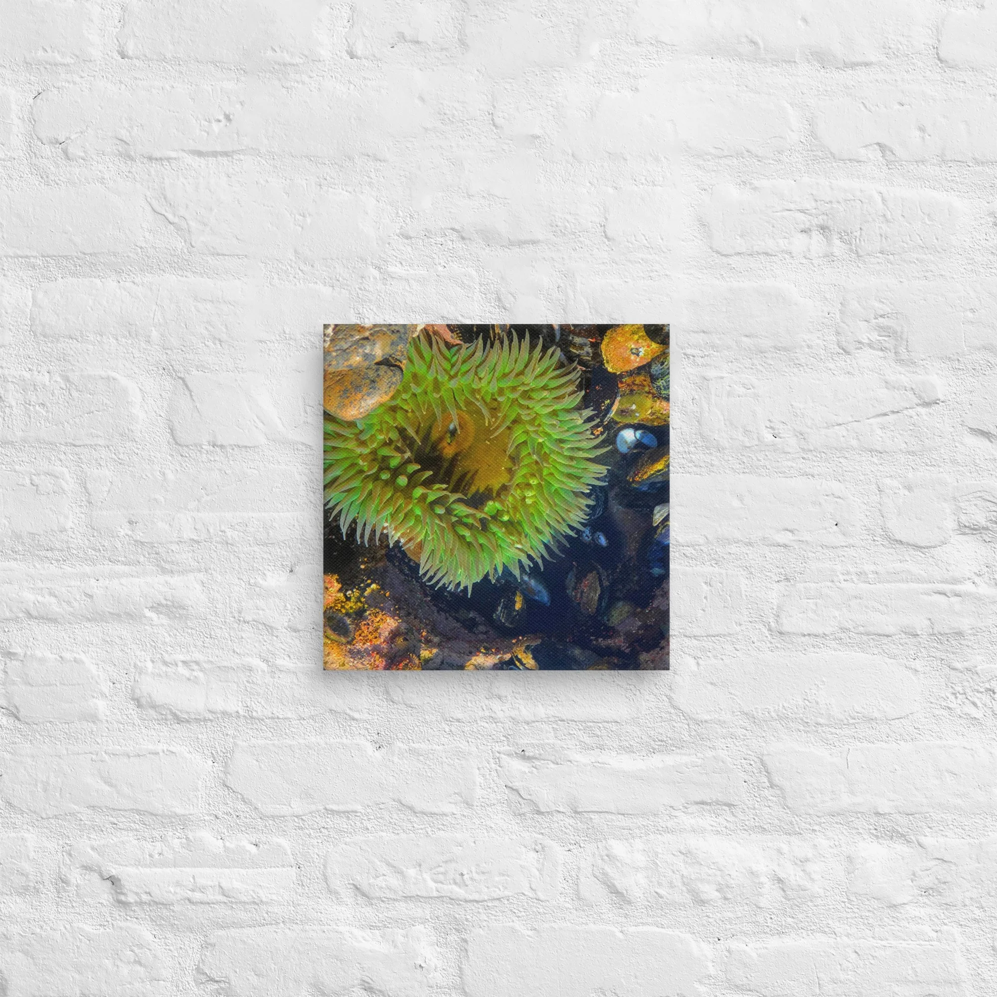 canvas-(in)-12x12-front-681d5d615f805.jpg