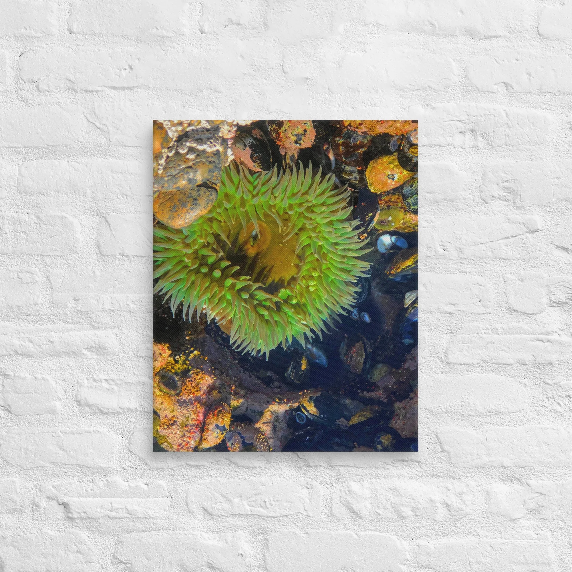 canvas-(in)-16x20-front-681d5d615f87e.jpg