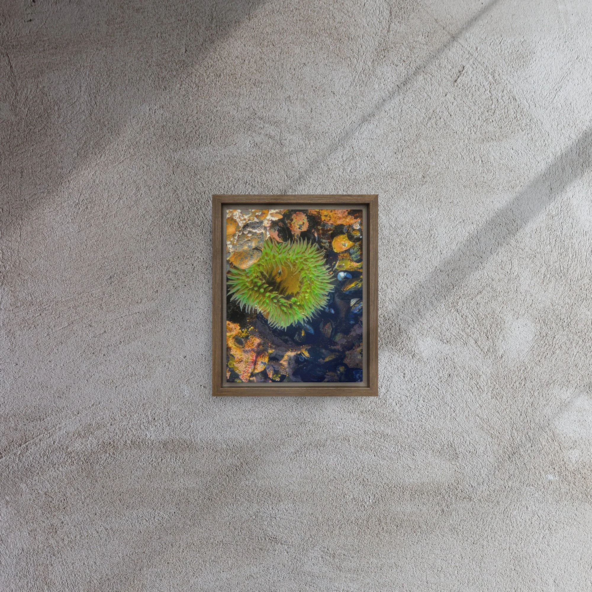 framed-canvas-(in)-brown-8x10-front-681d63c3dc0a1.jpg
