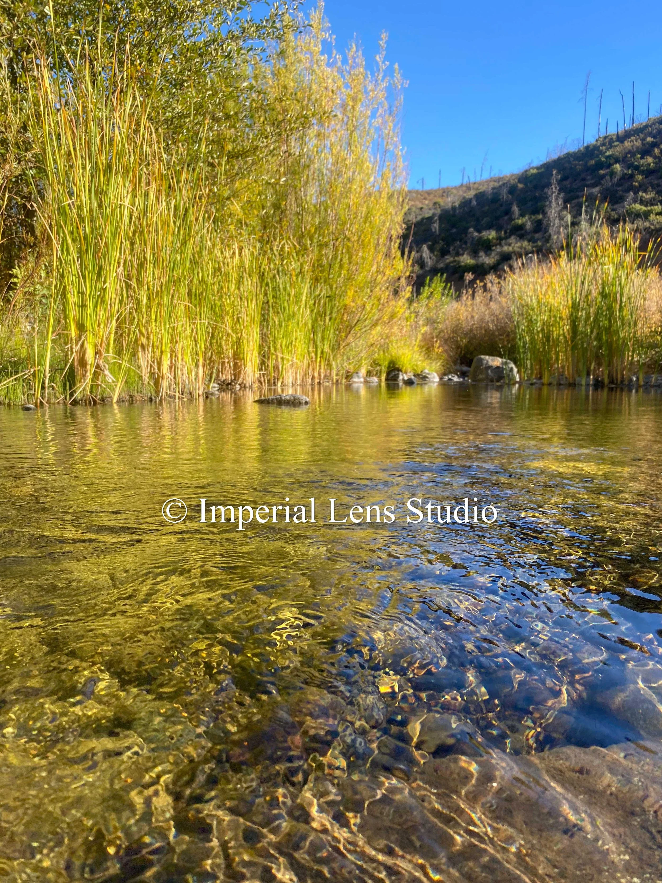 Digital Landscape Photo