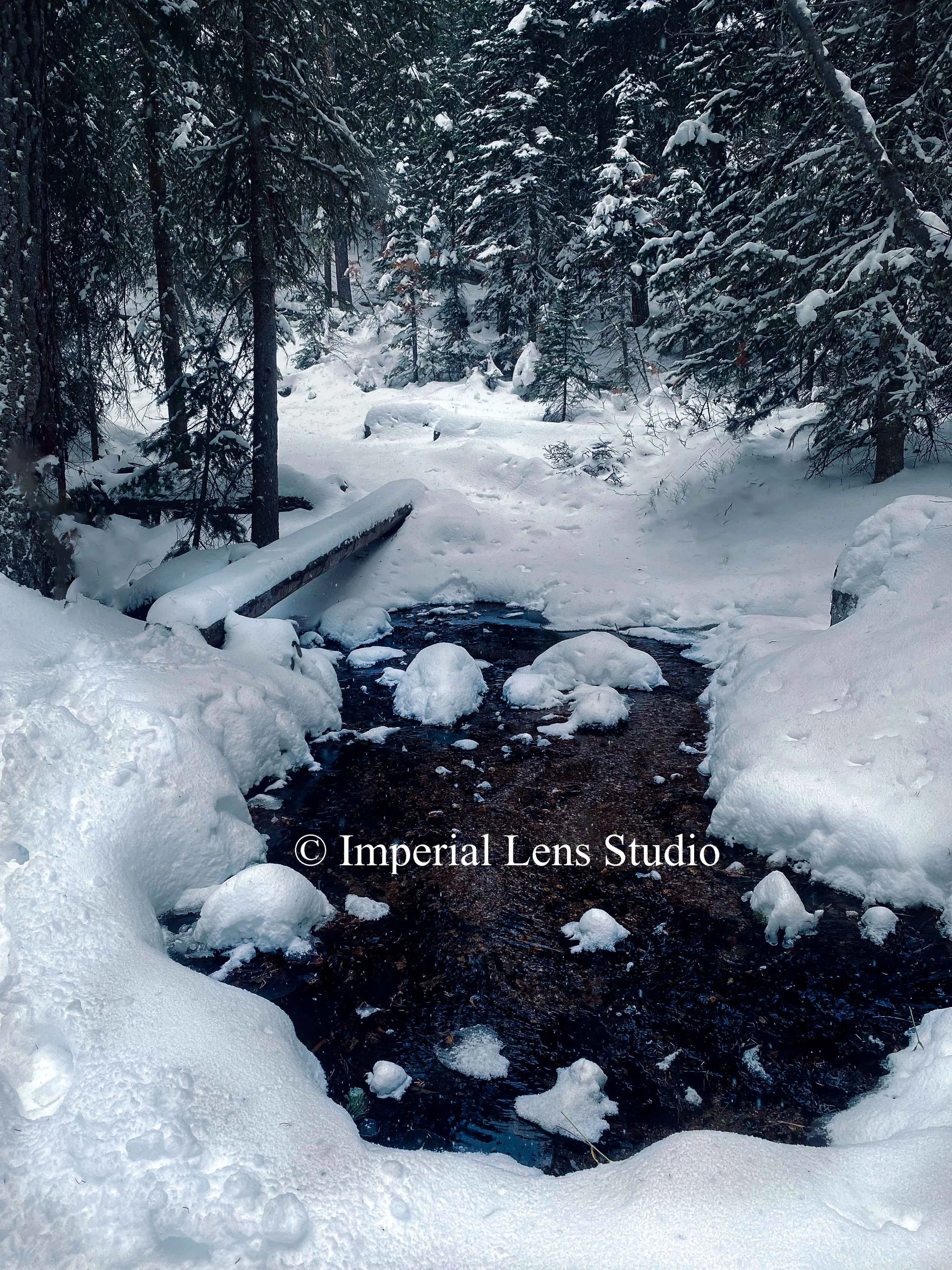 Landscape Framed Canvas Prints