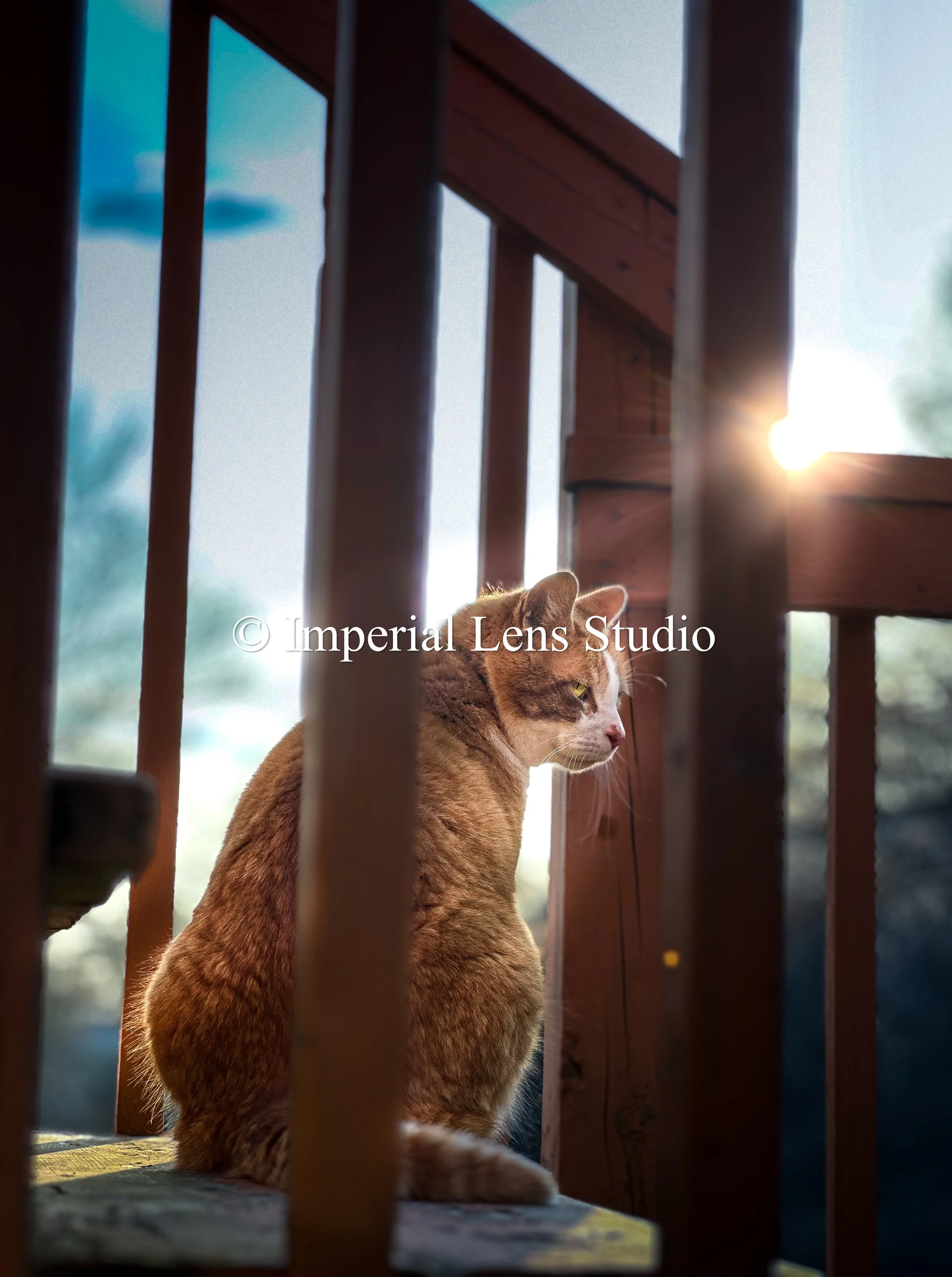 Wildlife Metal Prints