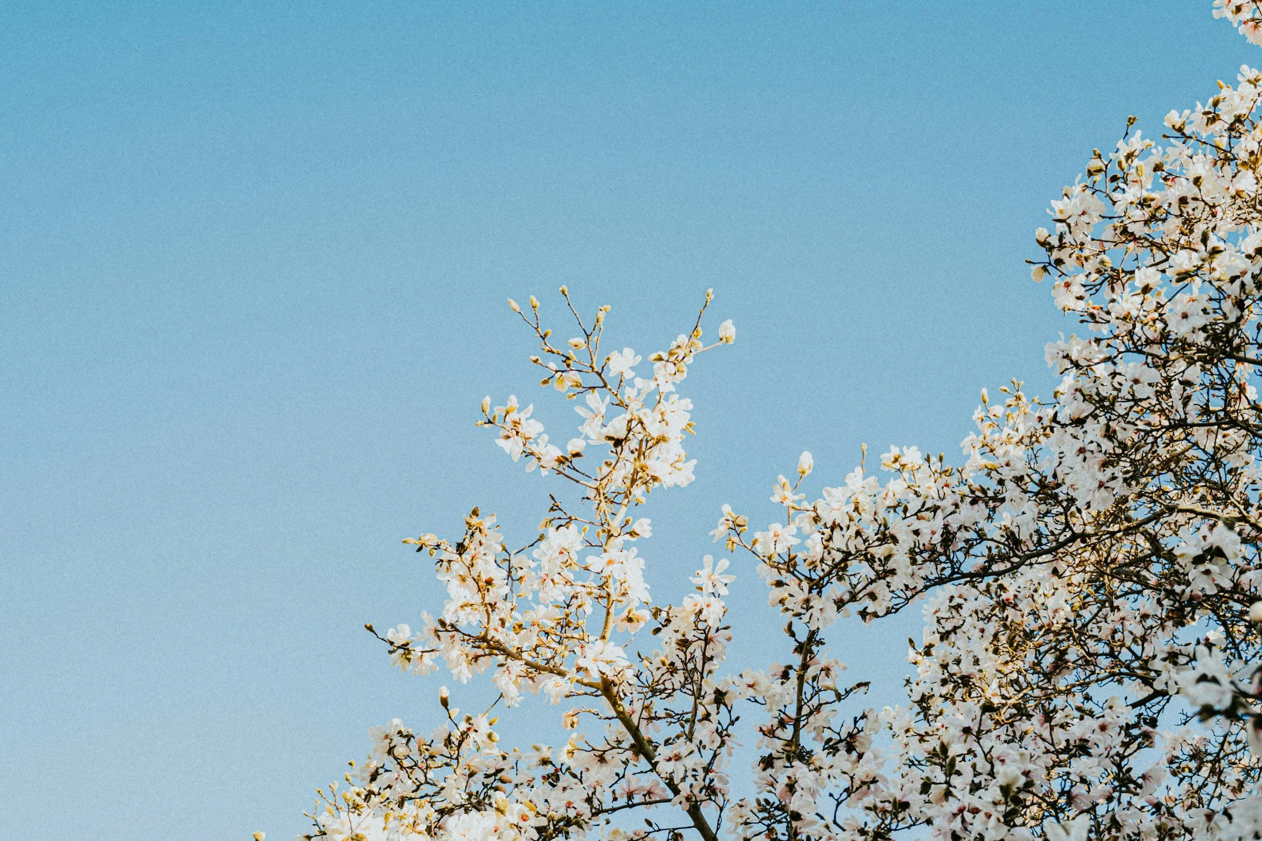 It’s time to think spring