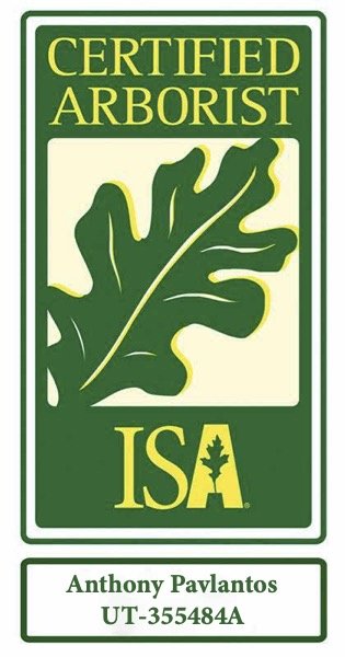 ISA certification badge for Tony Pavlantos