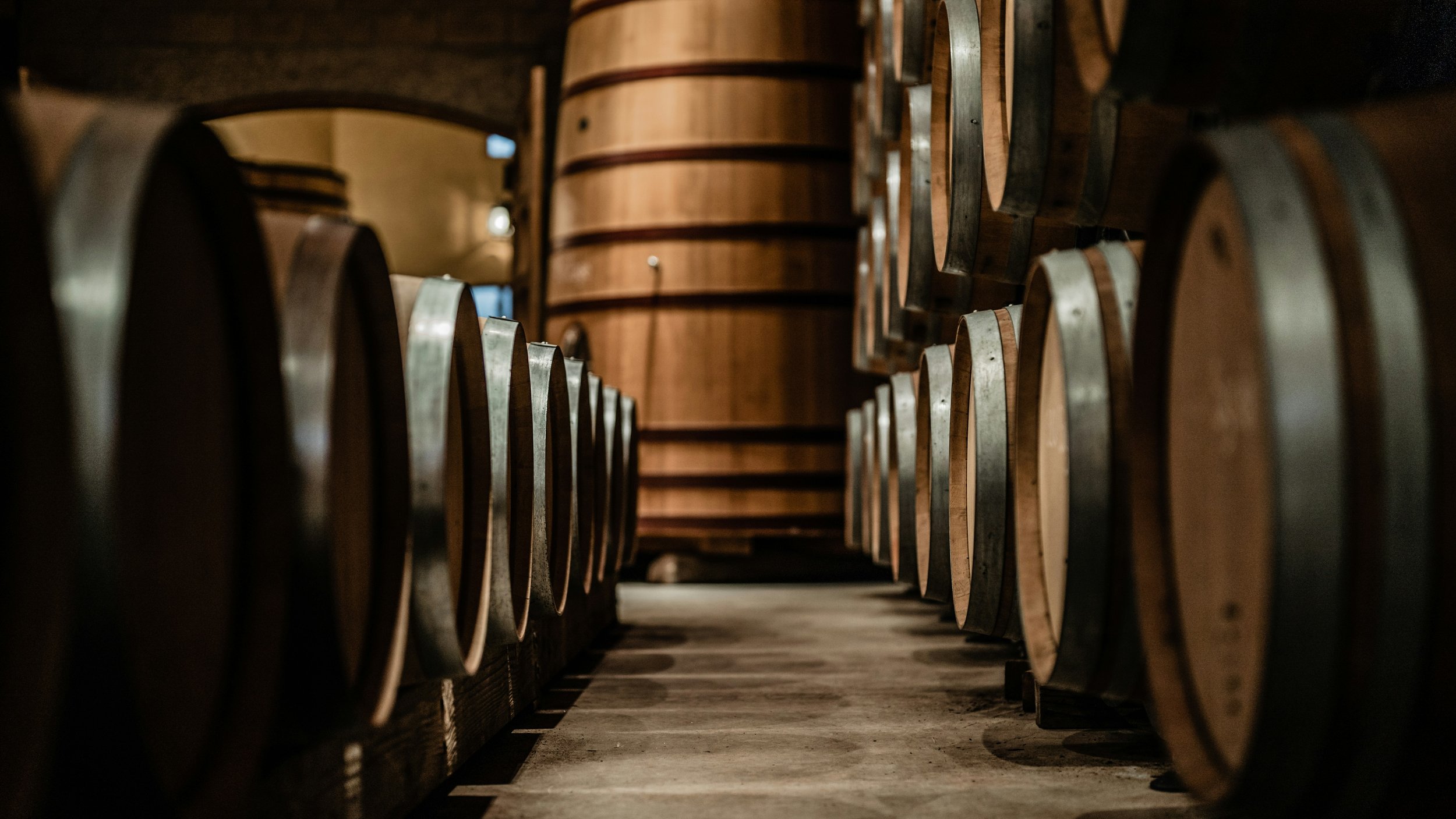A row of wine barrels stored in a cellar, with a curved ceiling and dim lighting.