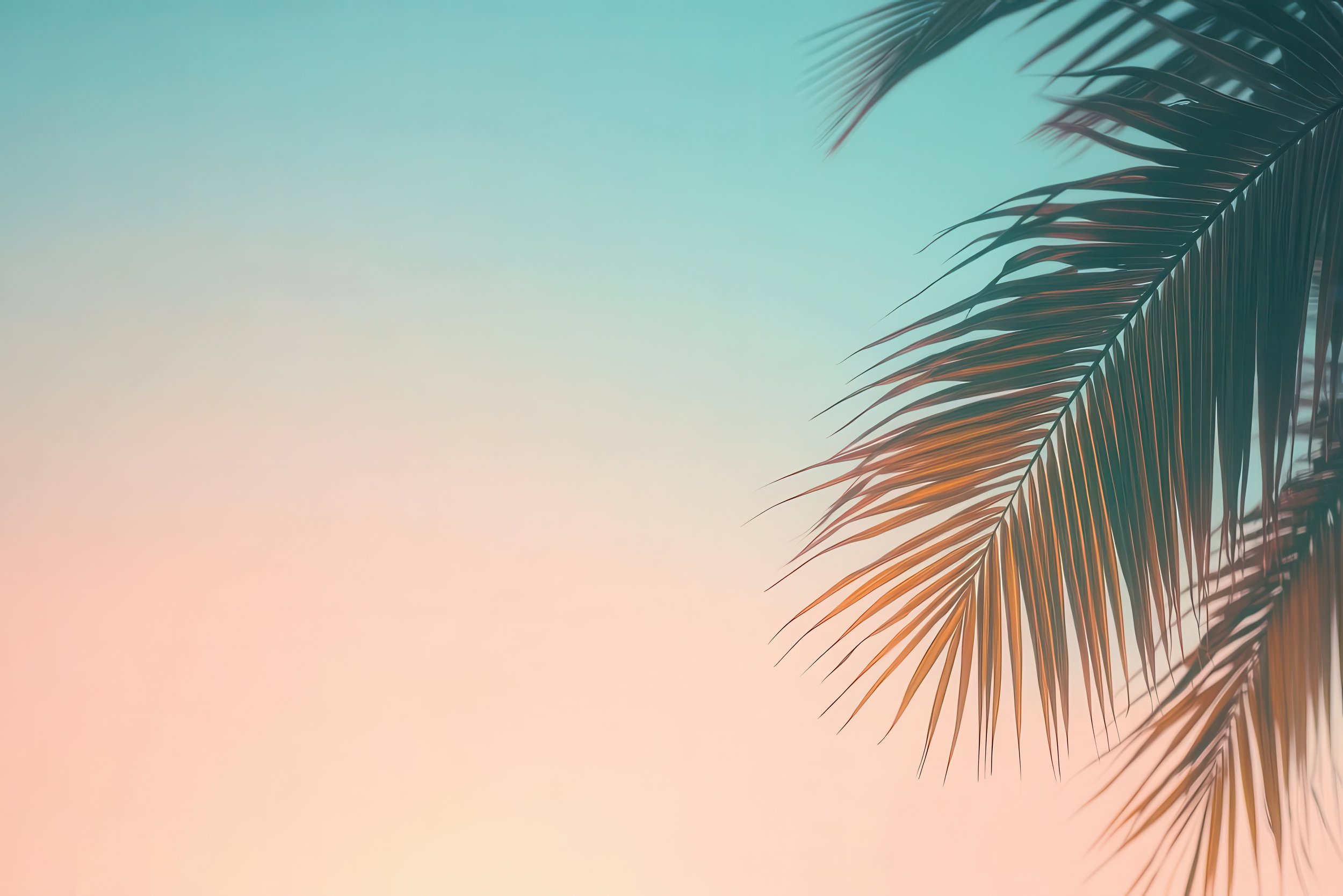 AdobeStock_1234689909.jpeg