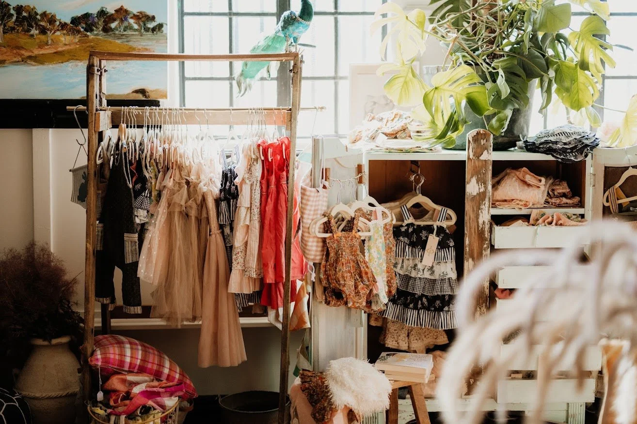 A room with clothing on racks and shelves, a large green leaf plant on top of a white cabinet, and a colorful painting on the wall behind.