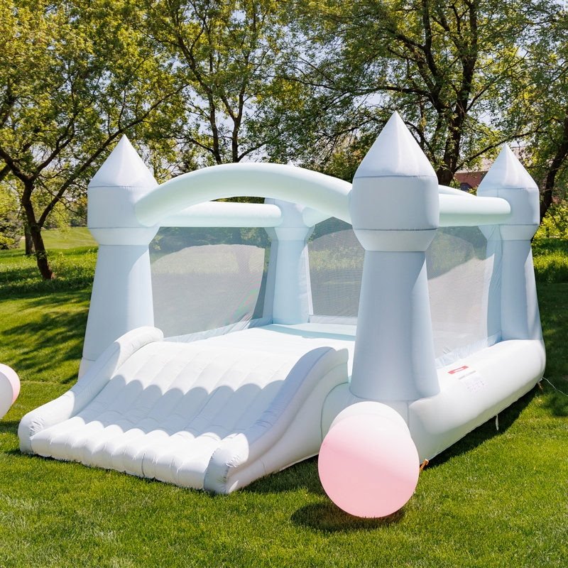 Baby Blue Bouncy House