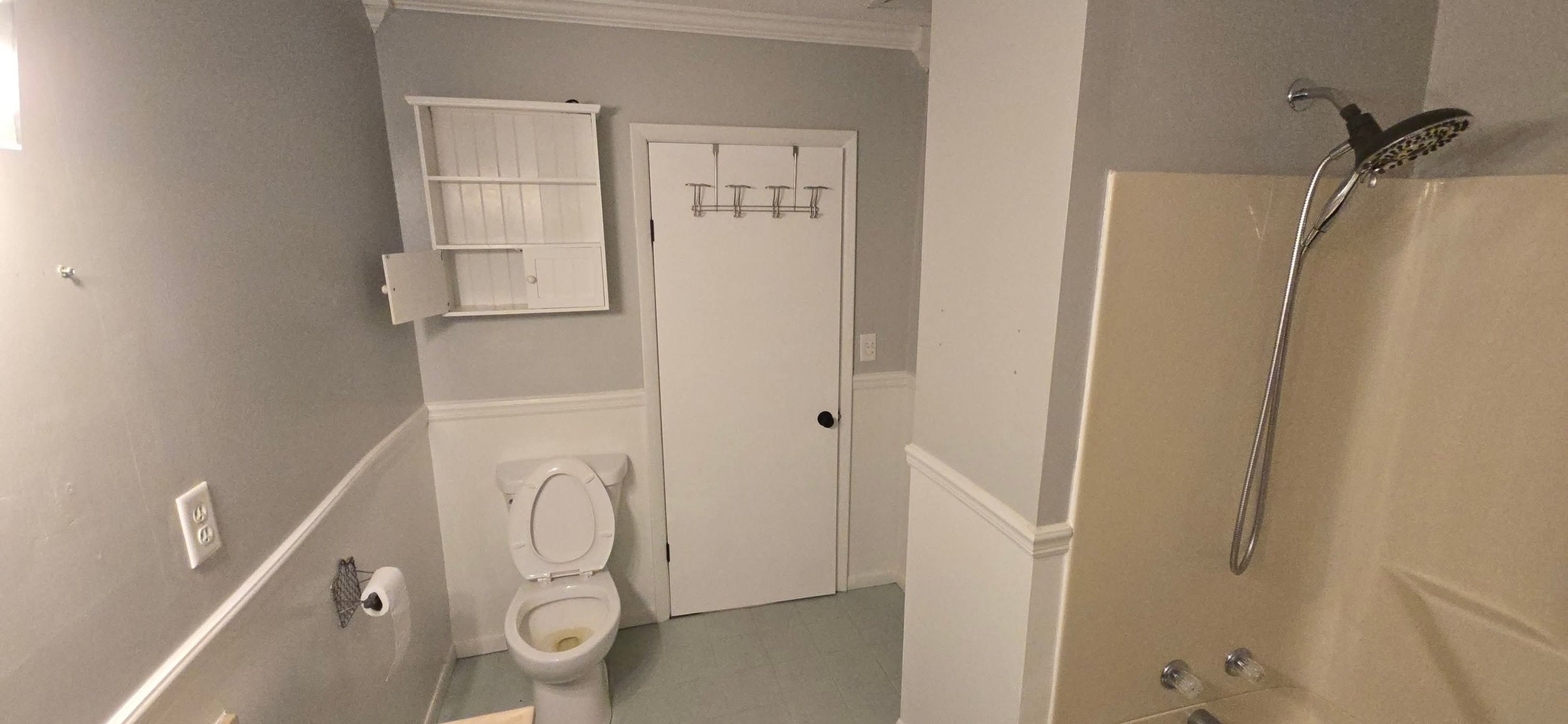 Bathroom with a toilet, a wall-mounted cabinet, a door with hooks, and a shower area with a handheld showerhead.