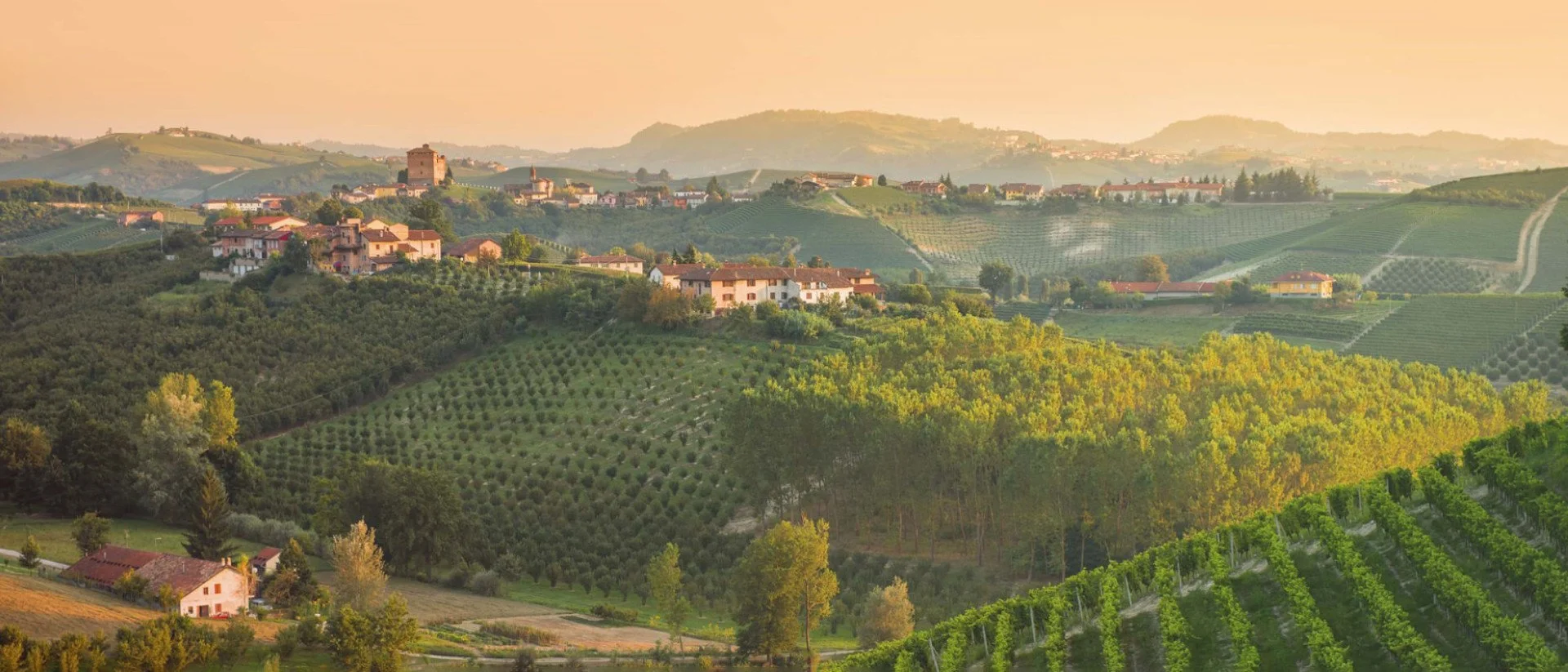 Barolo Legends Dinner: Bartolo Mascarello &amp; Giacomo Conterno