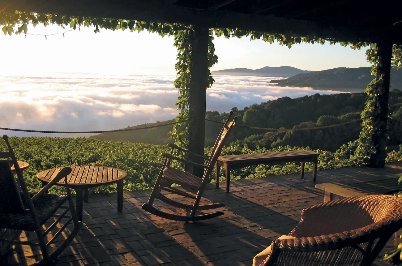 Winemaker Dinner: Fifty Years Of Mount Eden