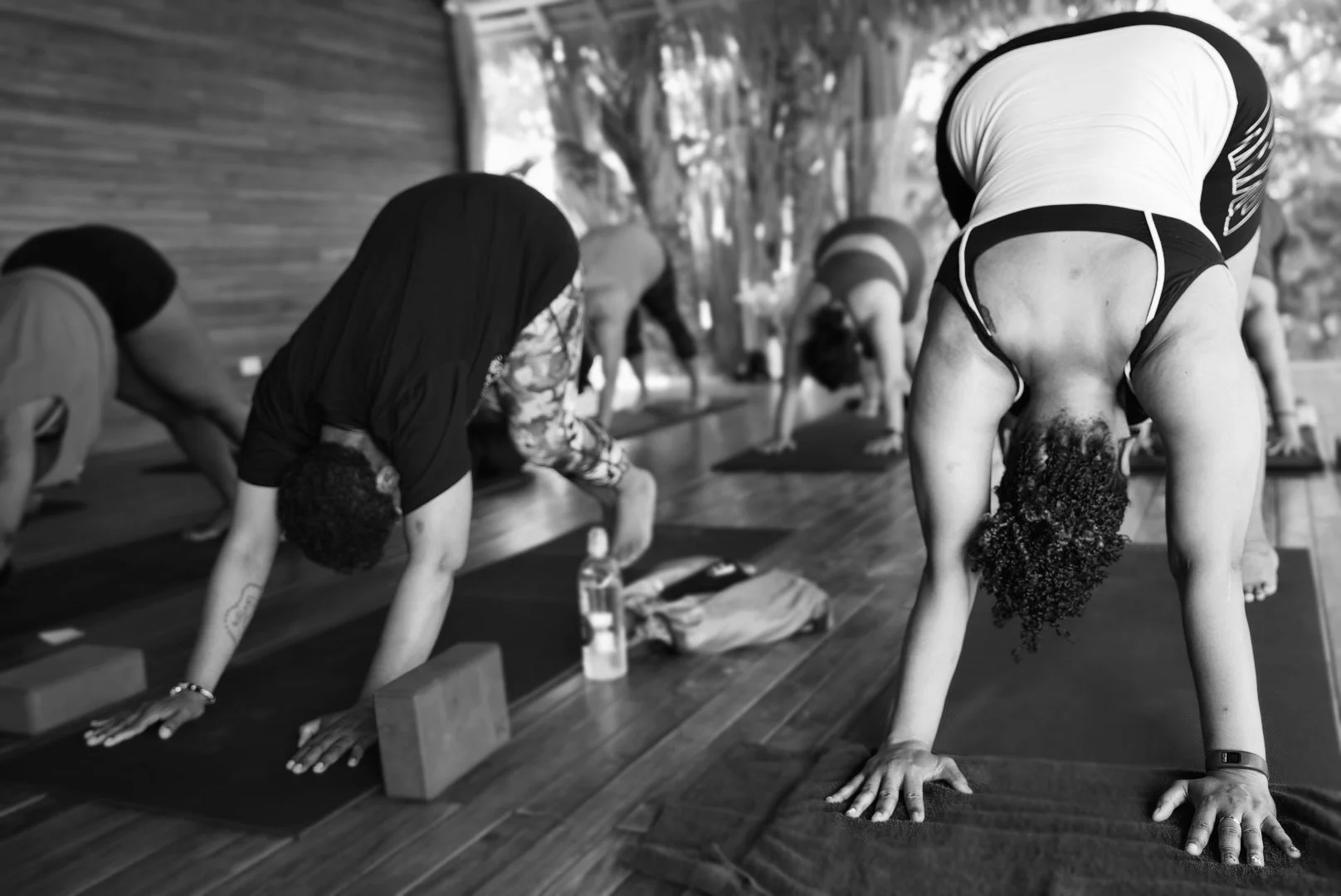 People practicing yoga in a studio, focused on downward dog pose.