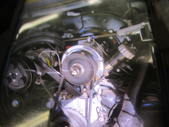 1624546500569_VW-Bus.png