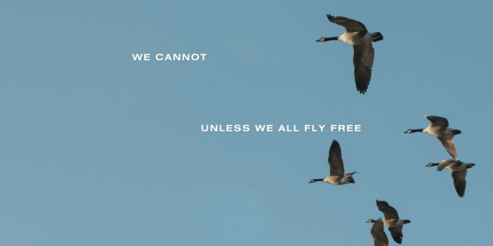 mutual aid launch event — no one flies alone