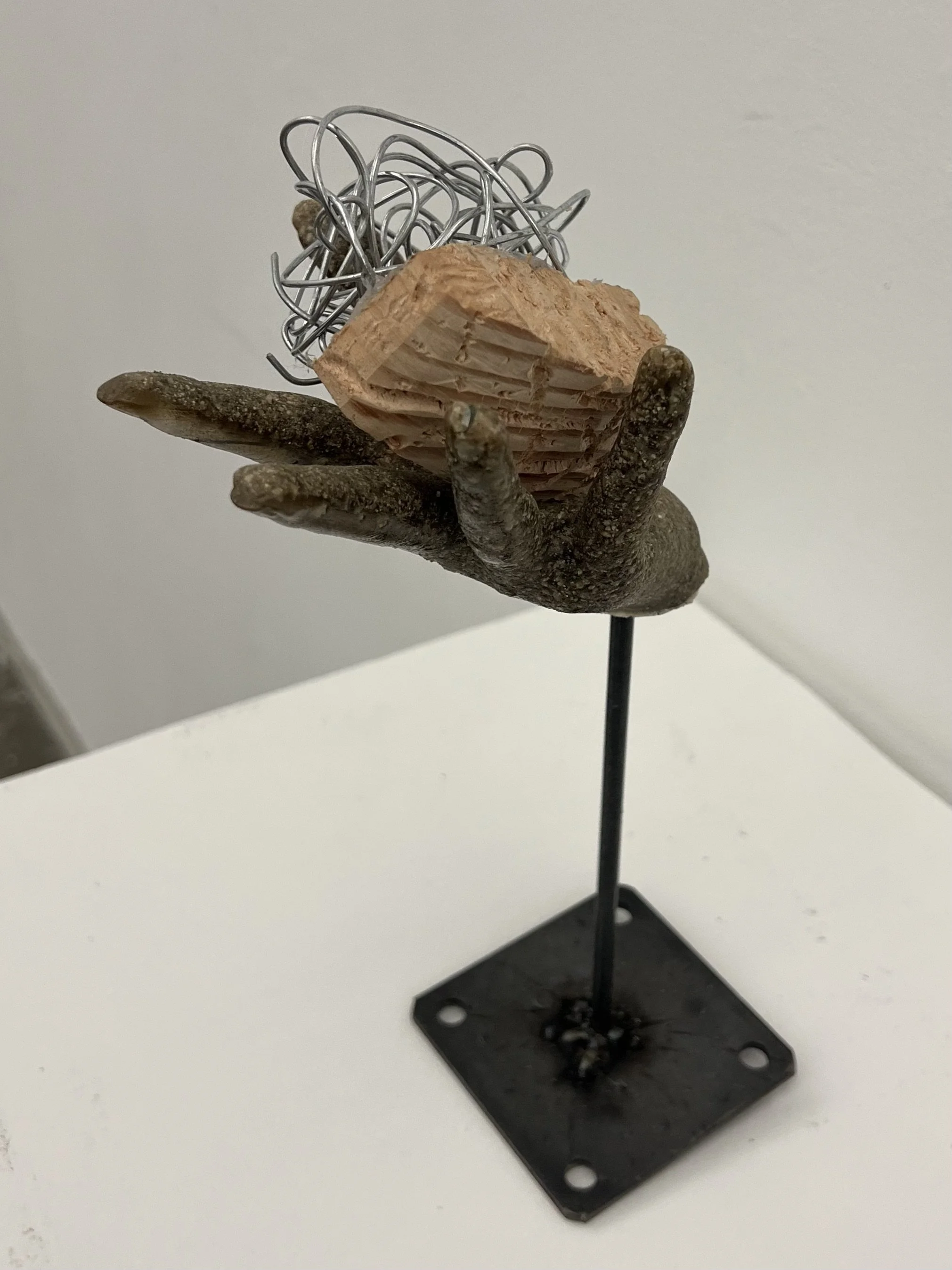 Origin of Thought 2025