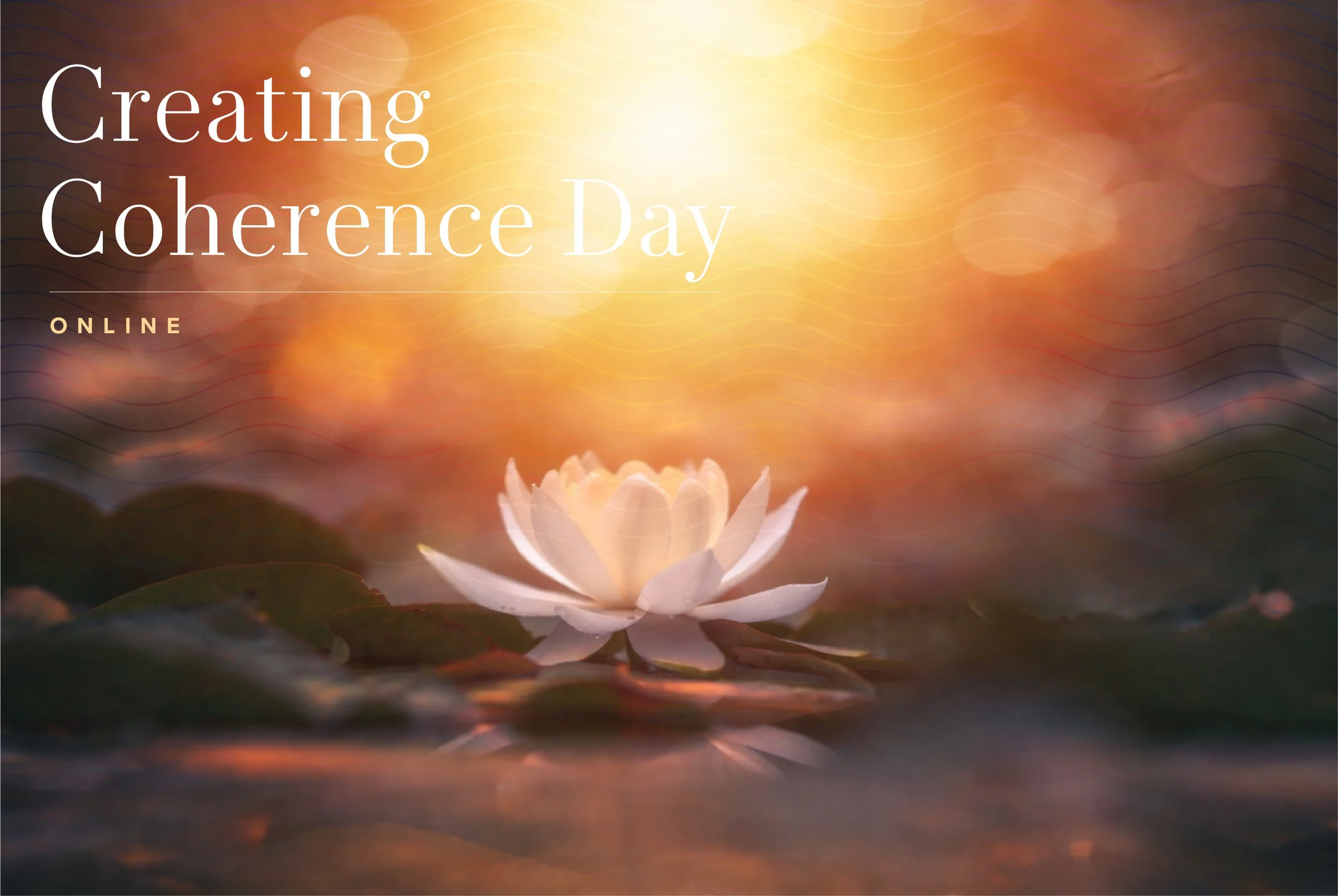 Creating Coherence Day – Online for TM Sidhas – February