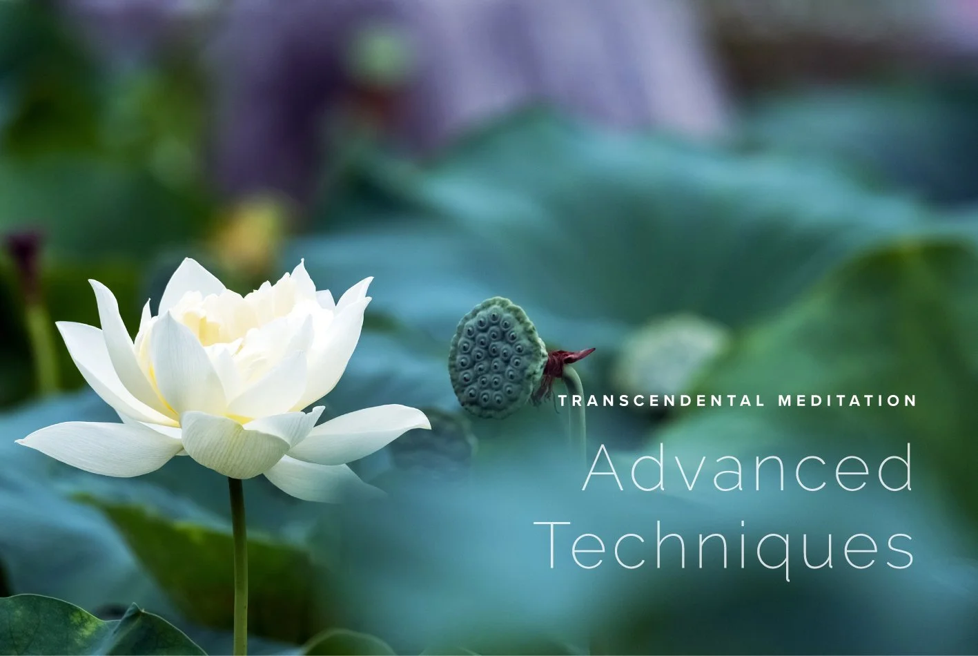 Advanced Technique Course 11 – 12 April Maharishi School TM Centre